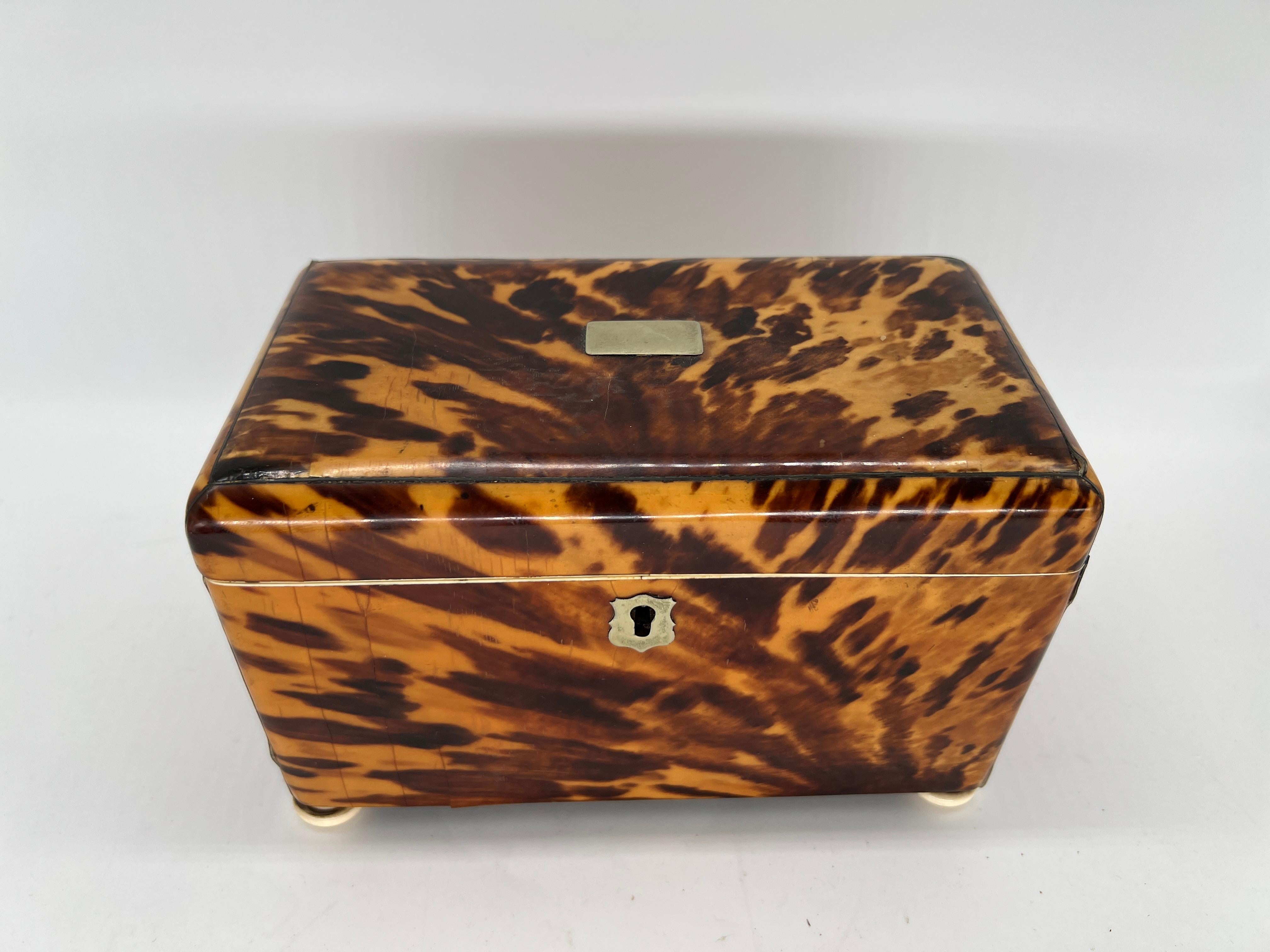 English, circa 1820.

A beautiful 19th century English Regency tortoiseshell tea caddy. The exterior with a well grained surface, 