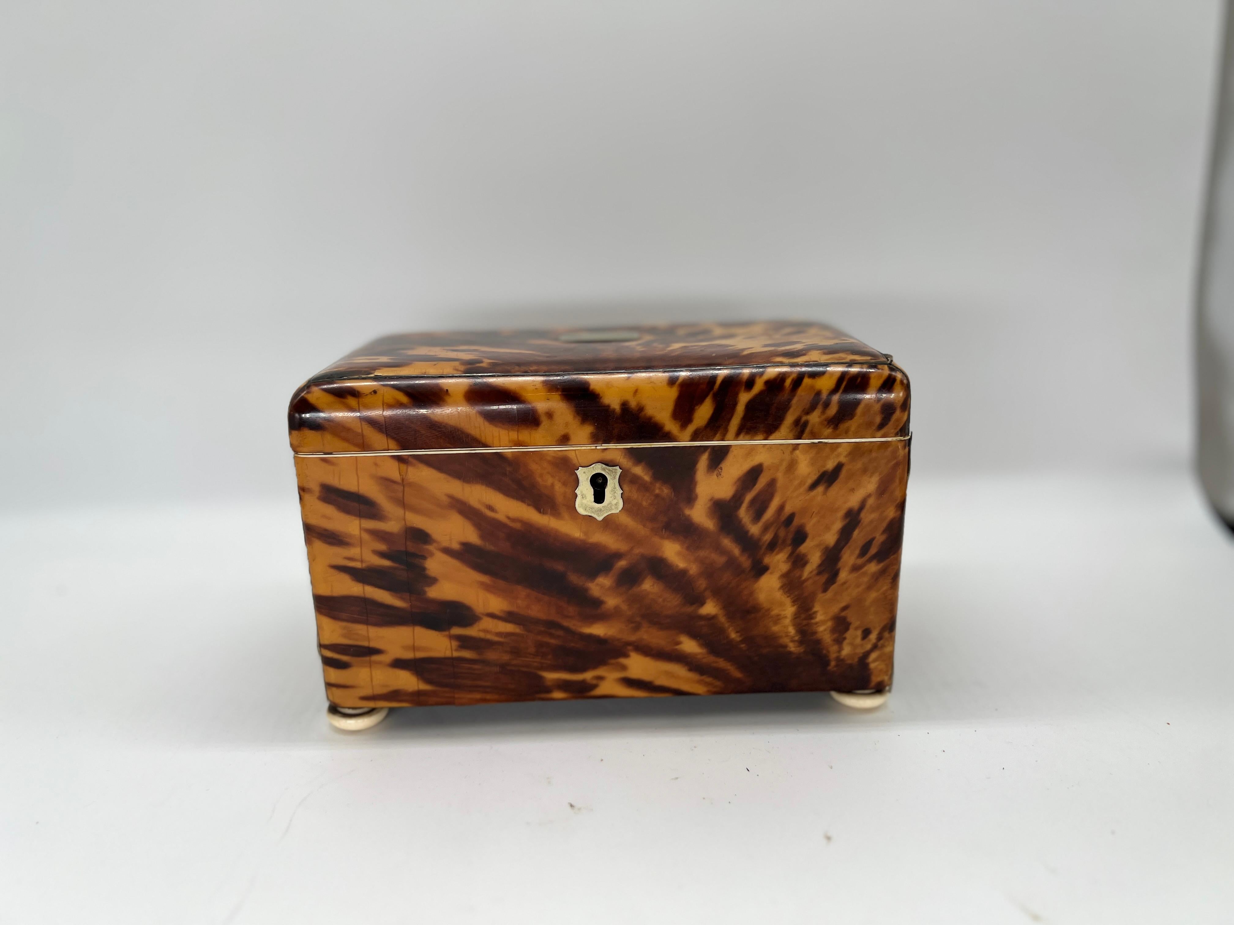 19th Century English Regency Tortoiseshell Tea Caddy In Good Condition In Atlanta, GA