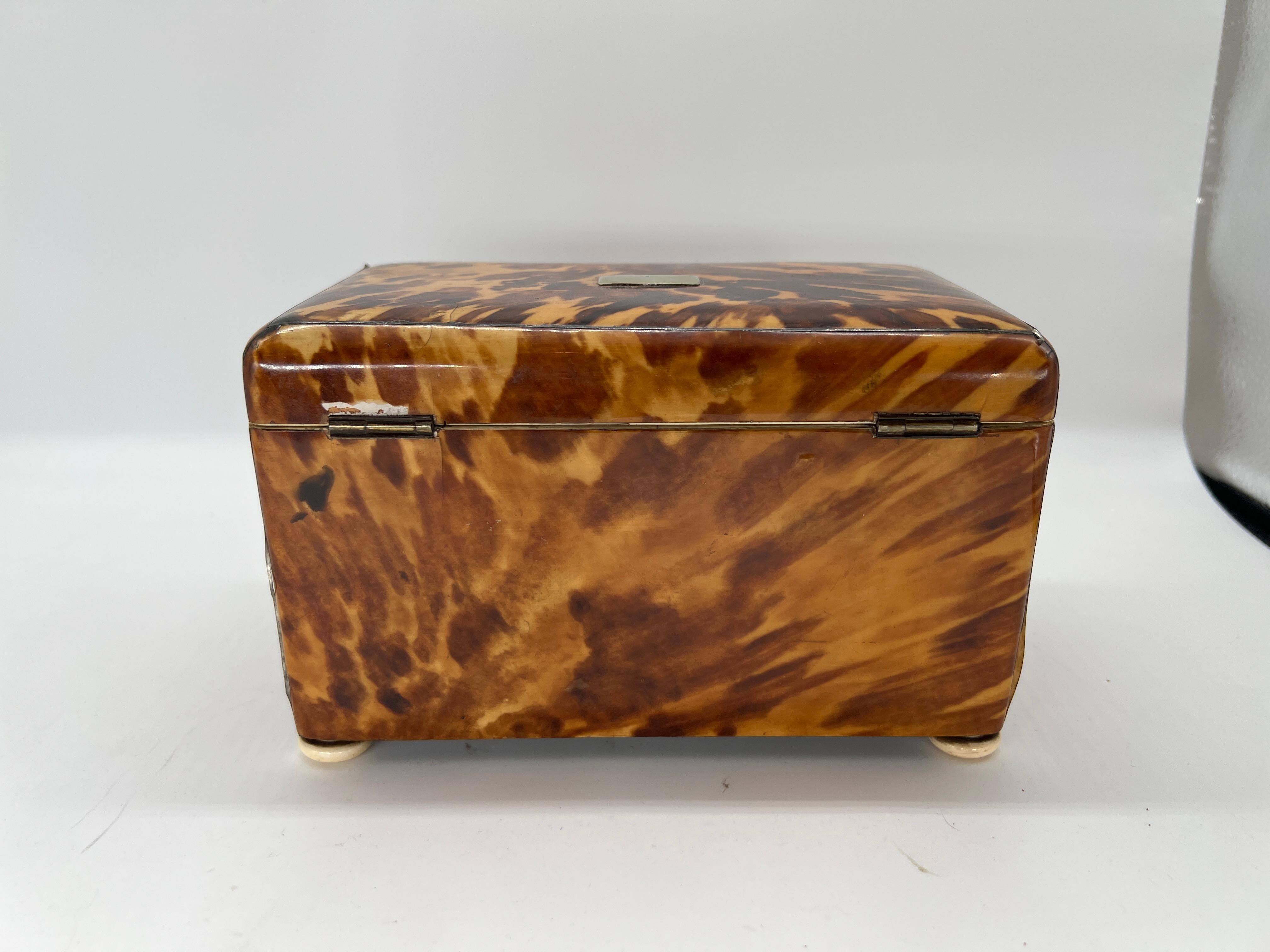 19th Century English Regency Tortoiseshell Tea Caddy 1