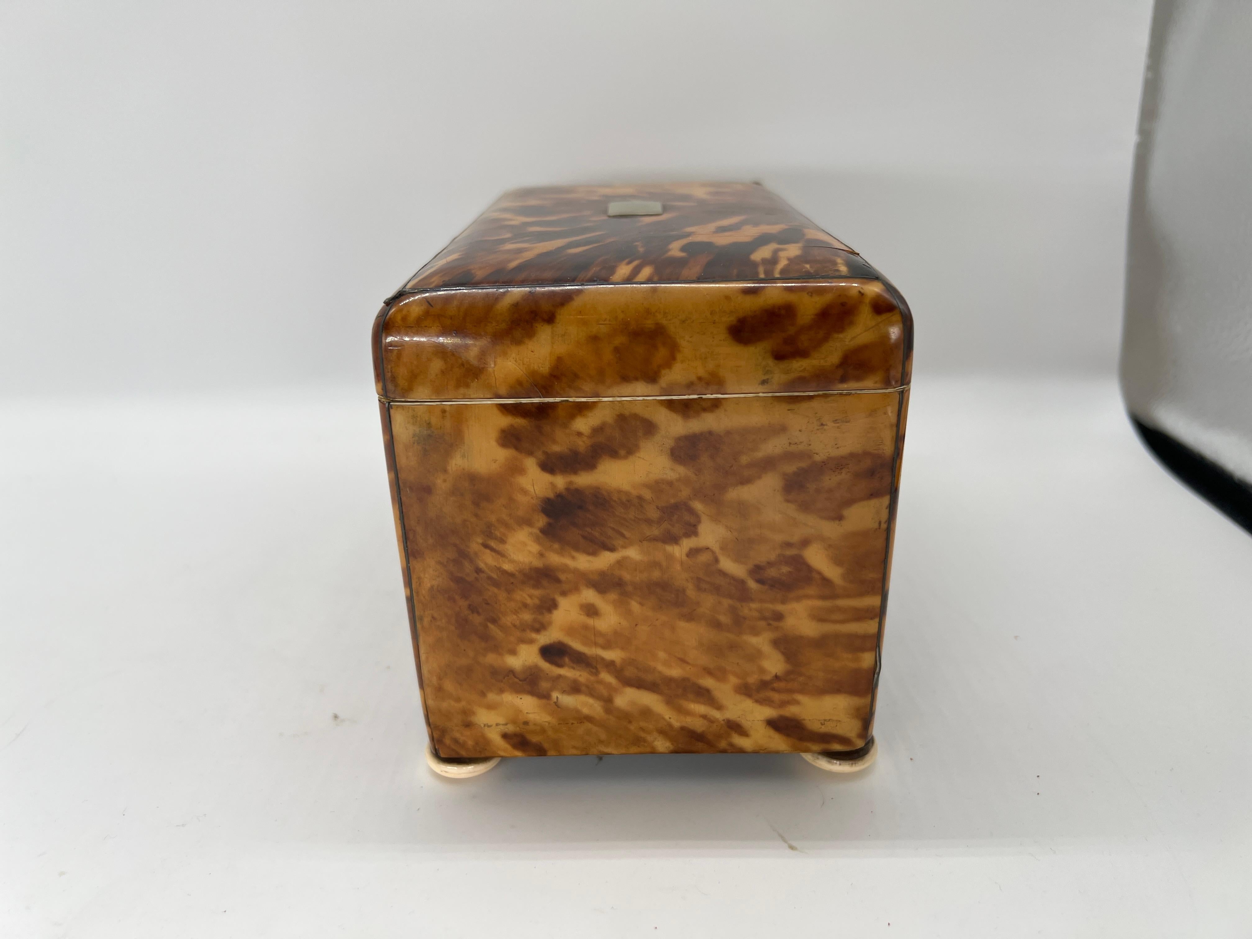 19th Century English Regency Tortoiseshell Tea Caddy 2