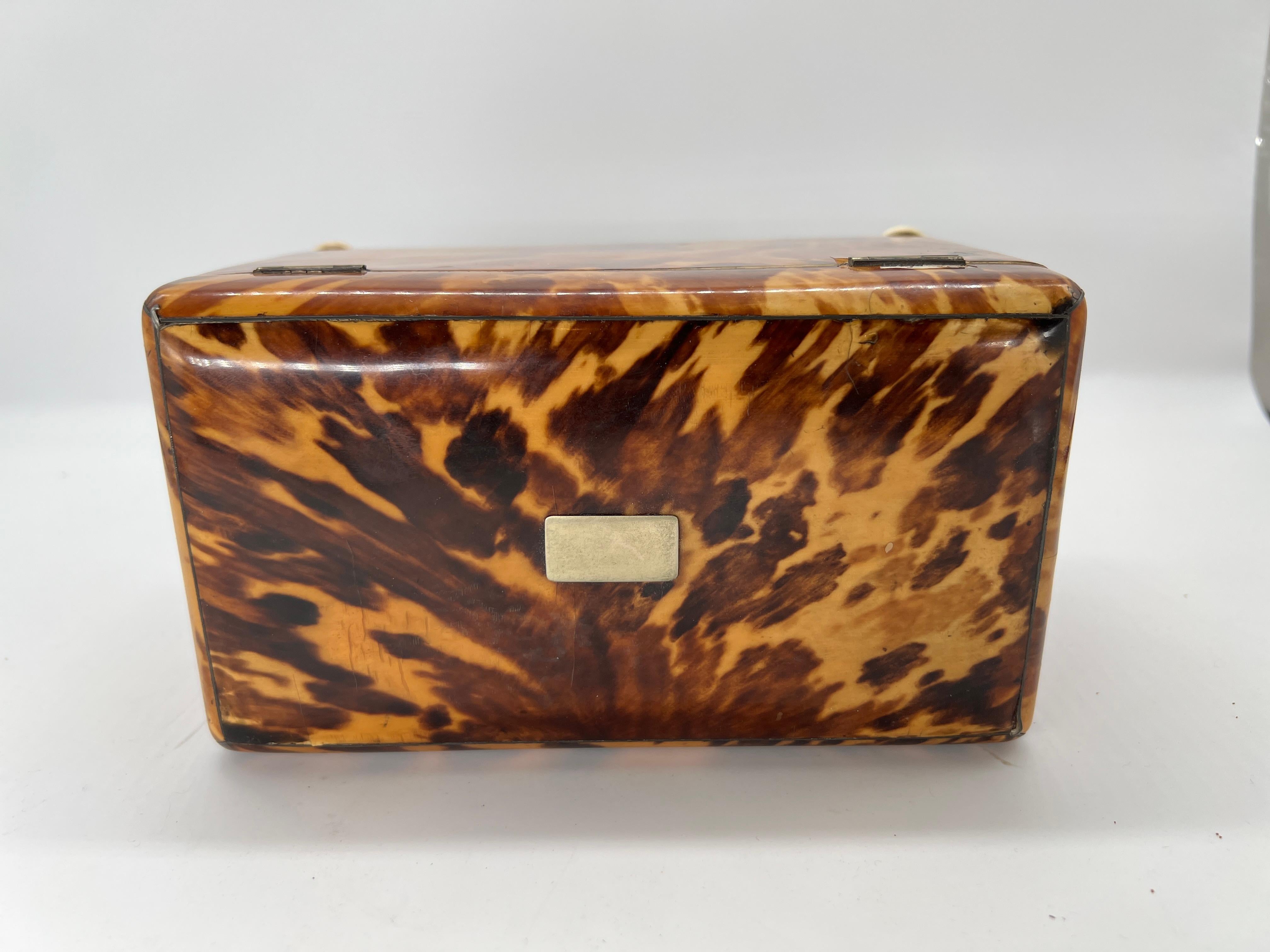 19th Century English Regency Tortoiseshell Tea Caddy 3