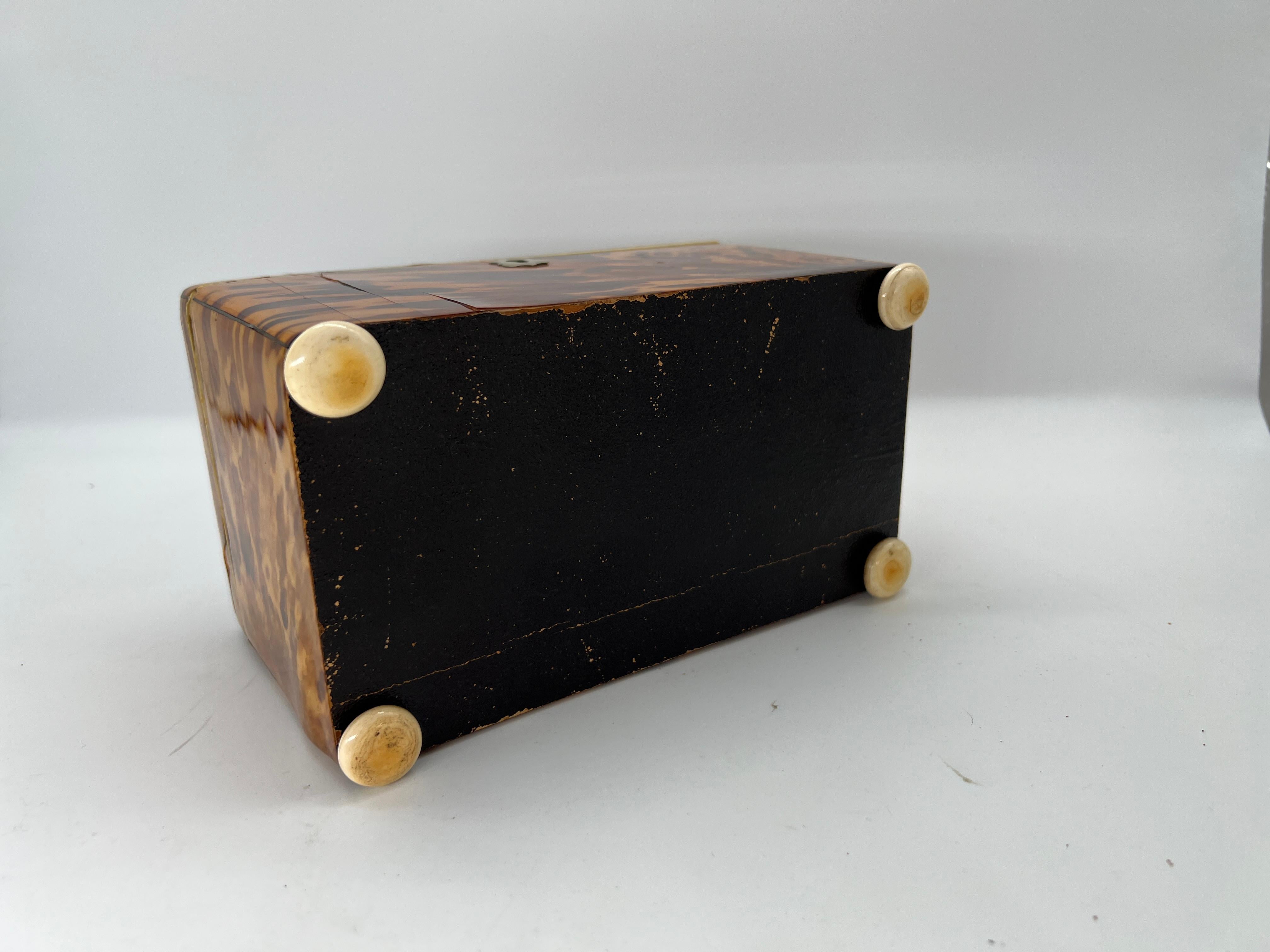 19th Century English Regency Tortoiseshell Tea Caddy 4