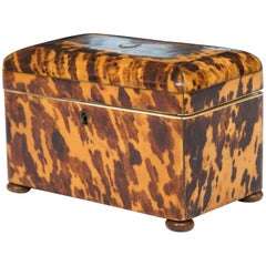 19th Century English Regency Tortoiseshell Tea Caddy