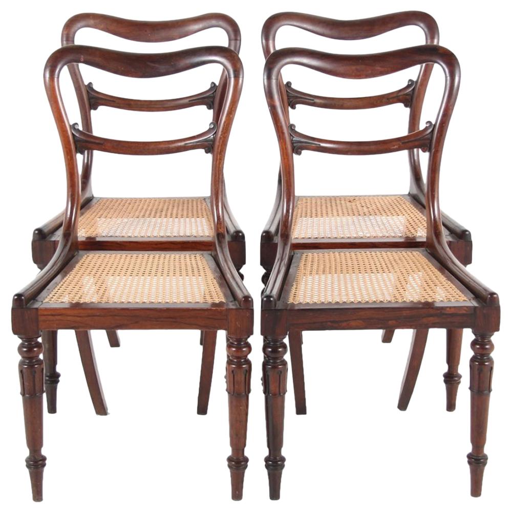 19th Century English Rosewood Dining Chairs