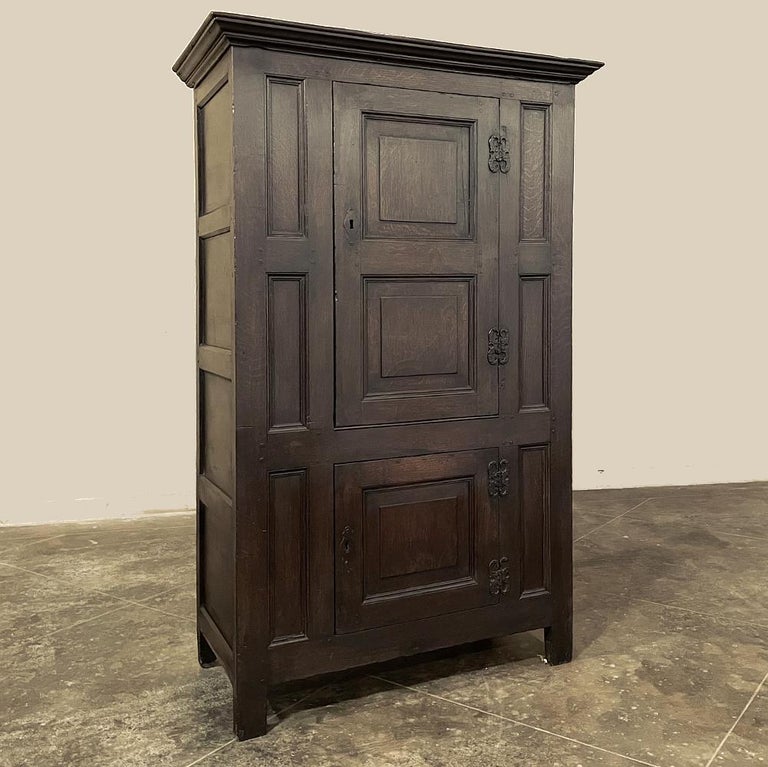 19th Century English Rustic Wardrobe For Sale at 1stDibs
