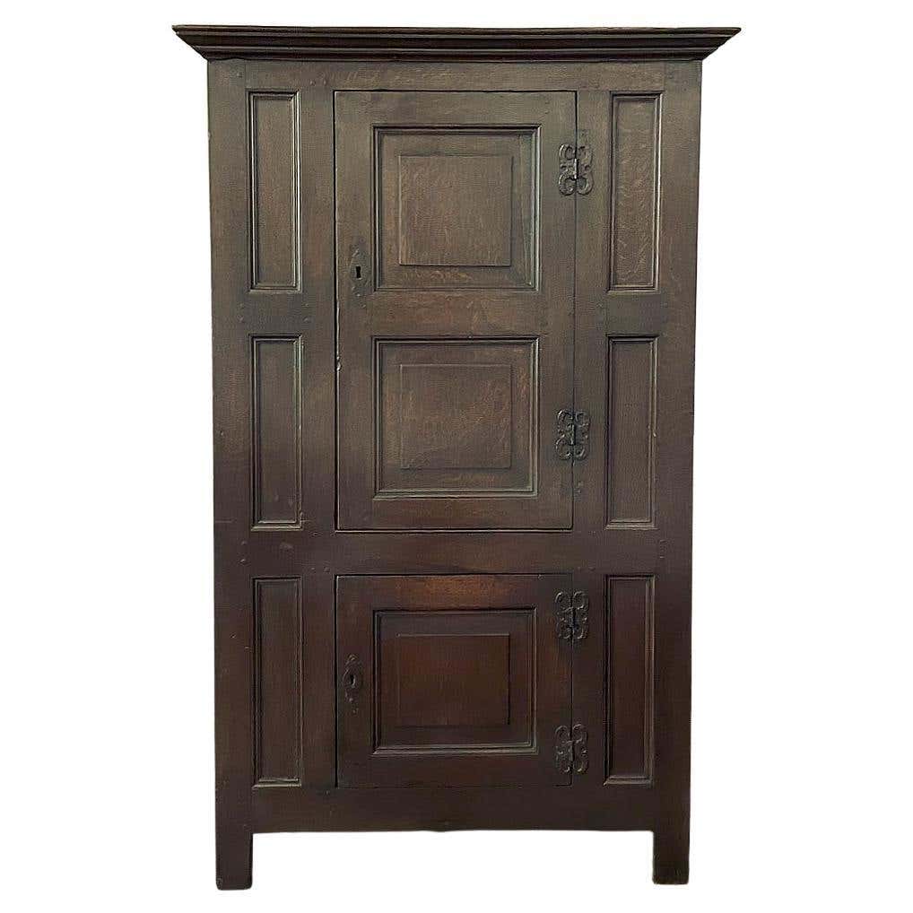 19th Century English Rustic Wardrobe ~ Cabinet For Sale at 1stDibs