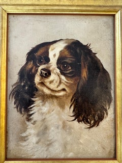 Englische School des 19. Jahrhunderts, Porträt eines King-Charles-Cavalier-Spaniels