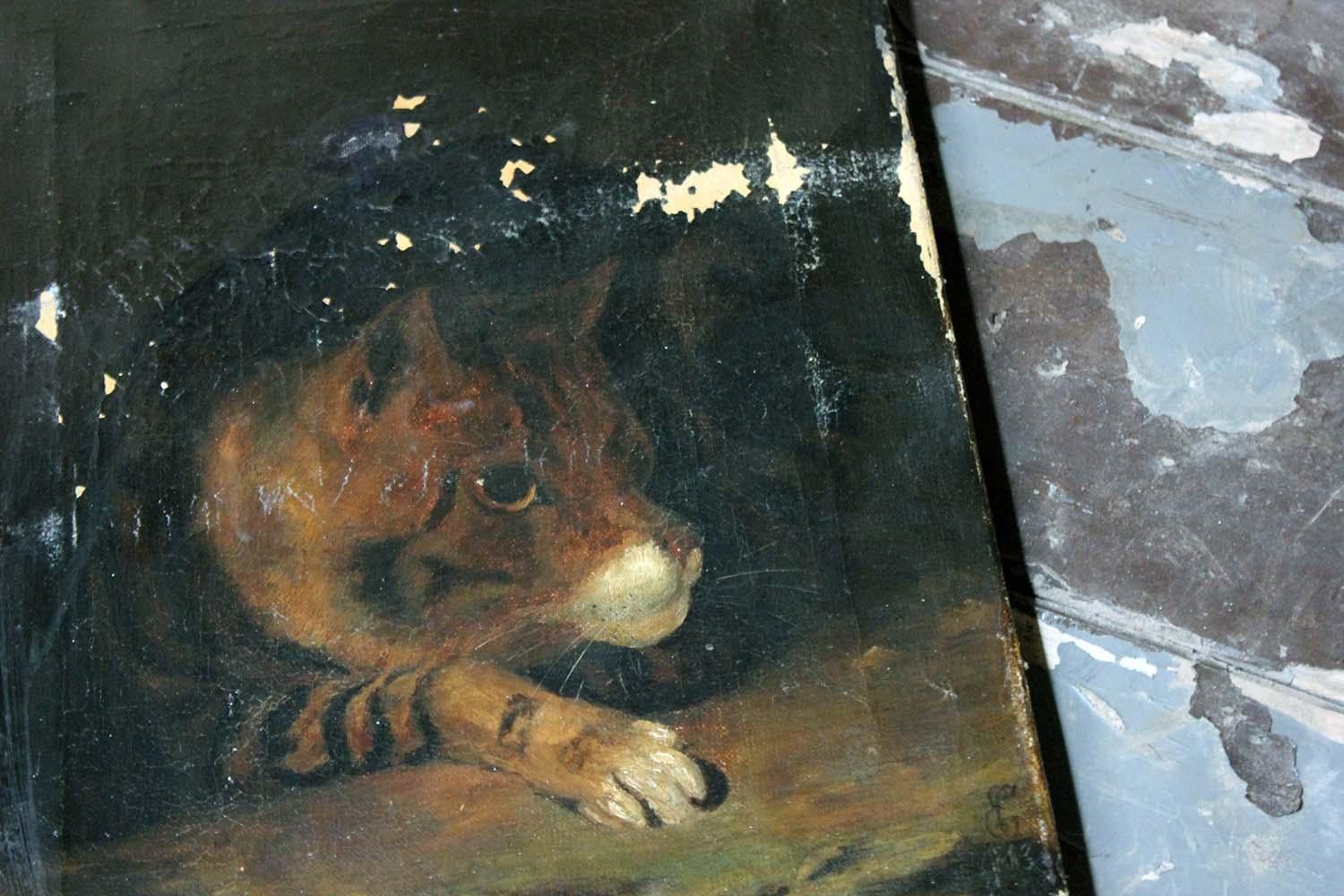 The charming late 19th century oil on canvas, presented unframed, depicting a tabby cat, shown pensively, the whole on a dark background, and indistinctly signed with monogram and date, the whole in unrestored condition.

The painting is in very