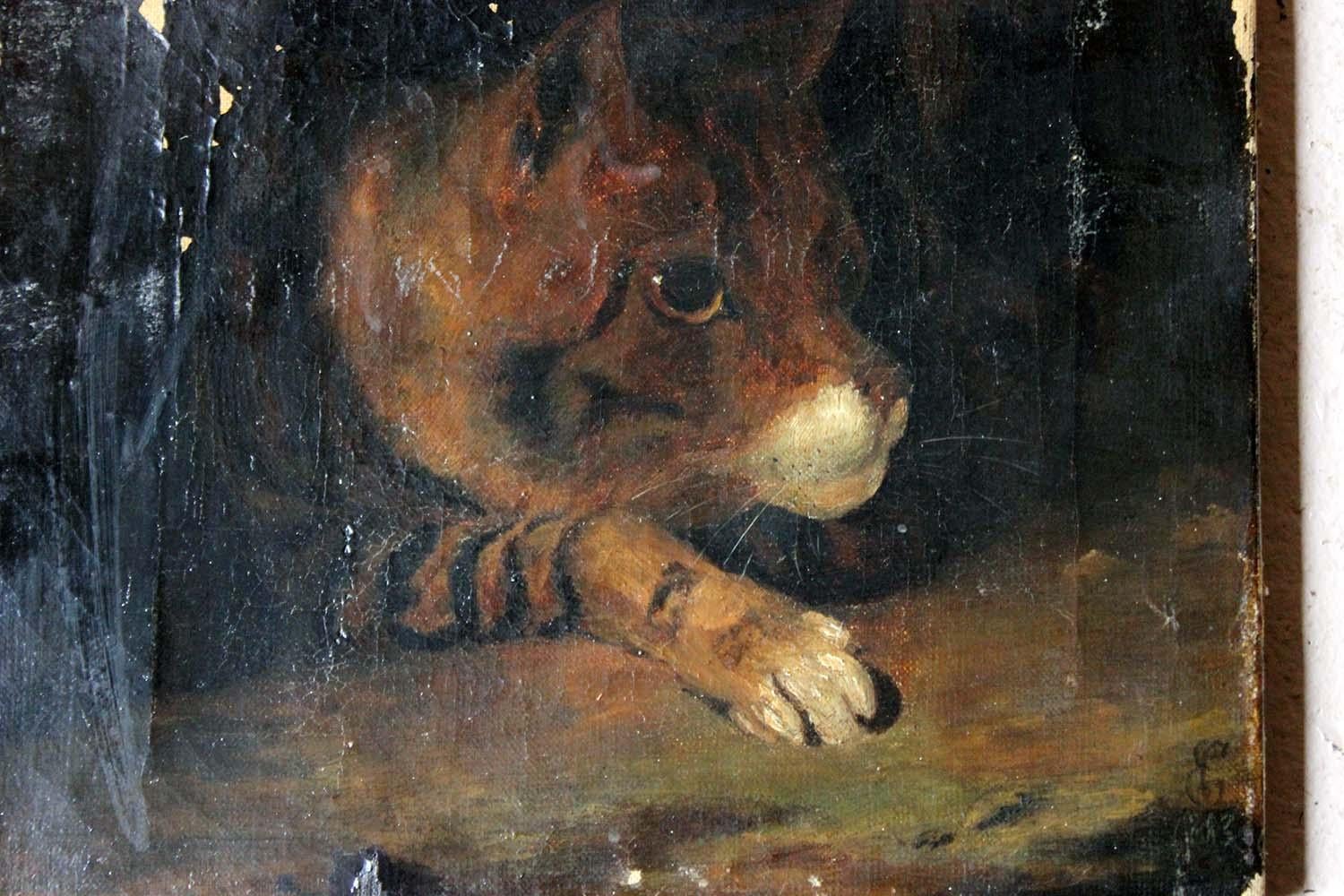 19th Century English School Oil on Canvas Study of a Cat, circa 1882 1