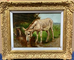 English portrait of a Donkey in a landscape.