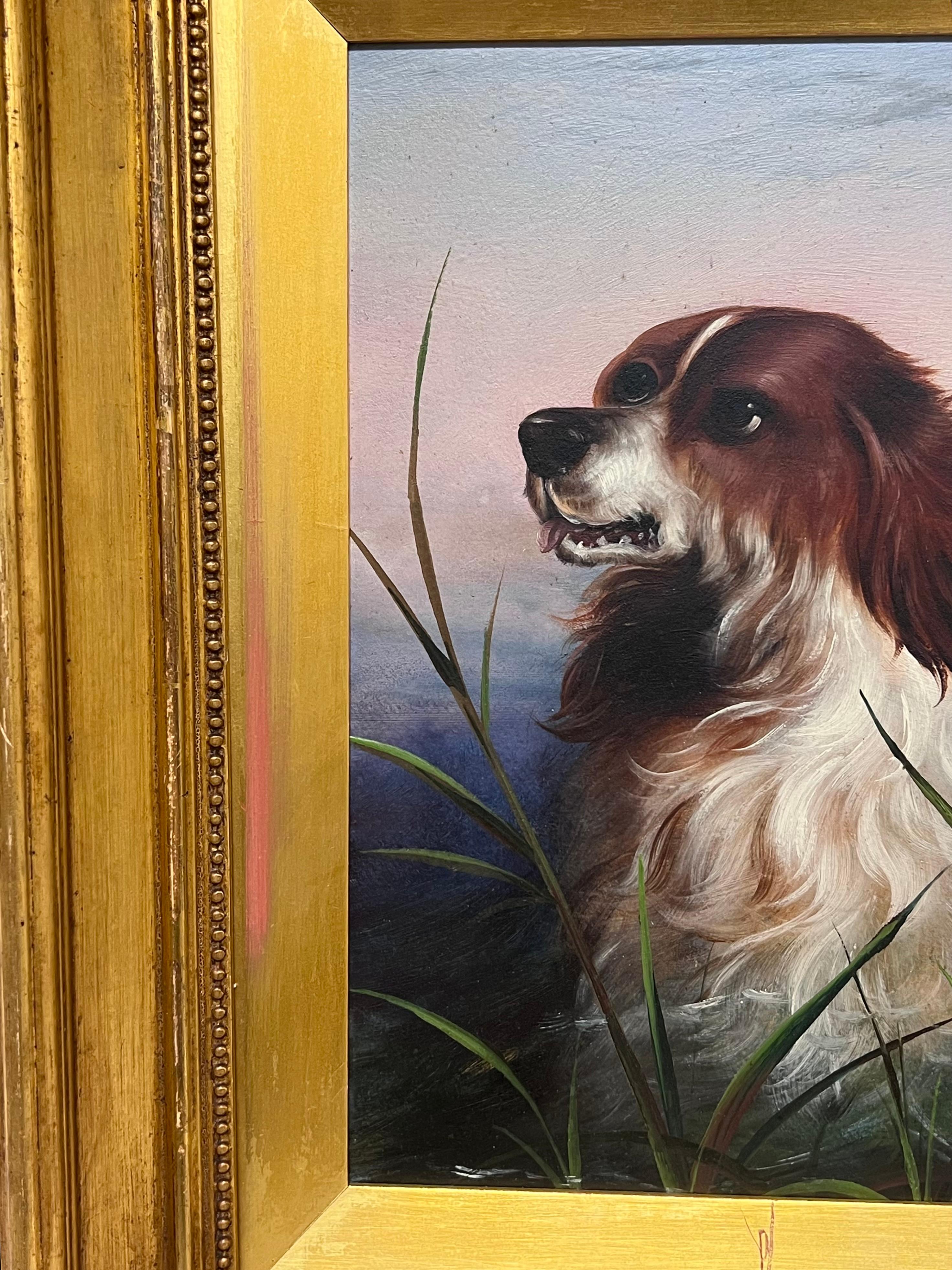 Ancienne peinture à l'huile anglaise du 19ème siècle Portrait de tête d'un chien épagneul - Victorien Painting par 19th Century English School