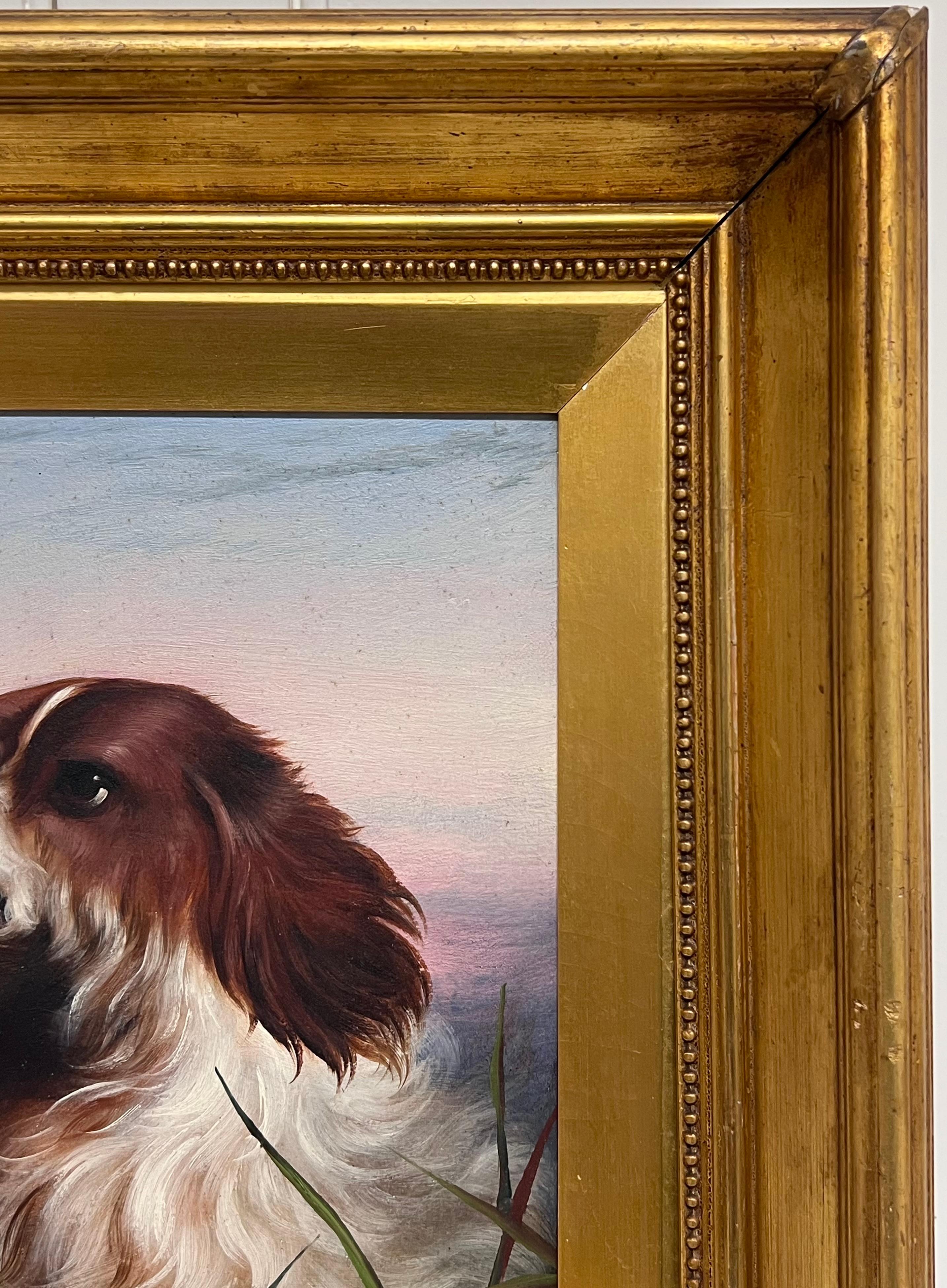Ancienne peinture à l'huile anglaise du 19ème siècle Portrait de tête d'un chien épagneul - Marron Animal Painting par 19th Century English School
