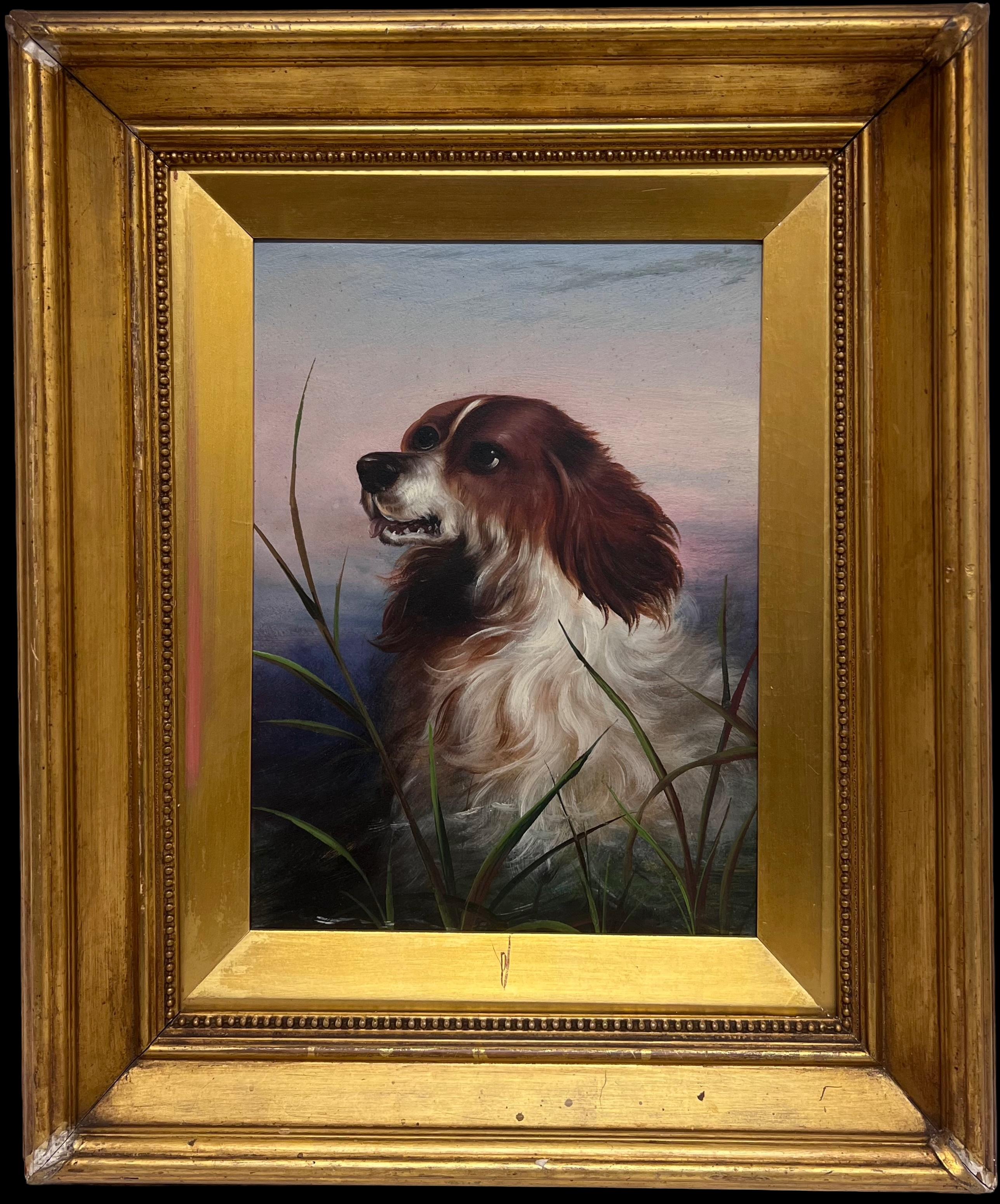 Ancienne peinture à l'huile anglaise du 19ème siècle Portrait de tête d'un chien épagneul