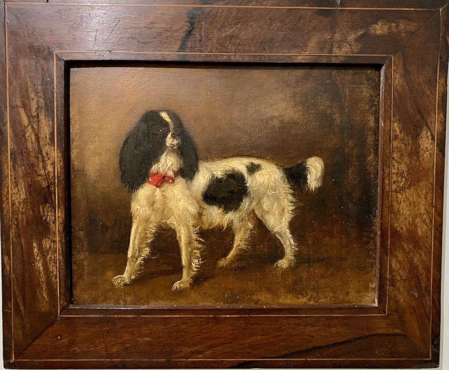 Early 19th century Antique Portrait of a King Charles Cavalier Spaniel dog  - Old Masters Painting by 19th Century English School