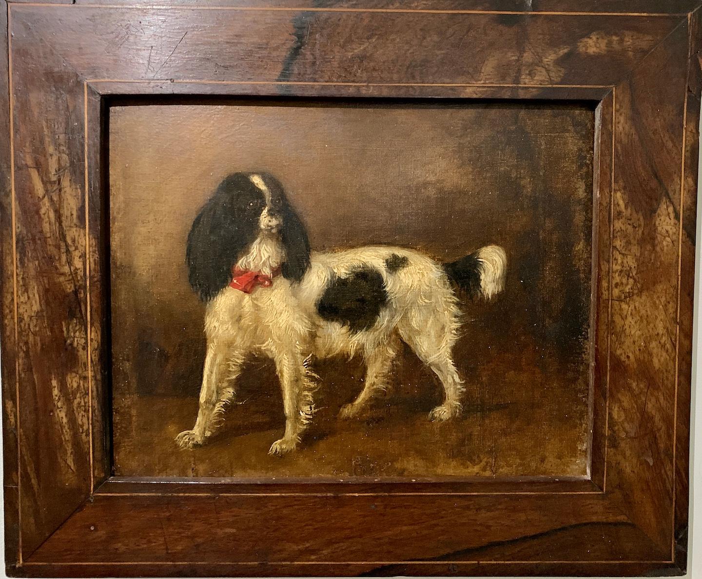 Early 19th century Antique Portrait of a King Charles Cavalier Spaniel dog - Old Masters Painting by 19th Century English School