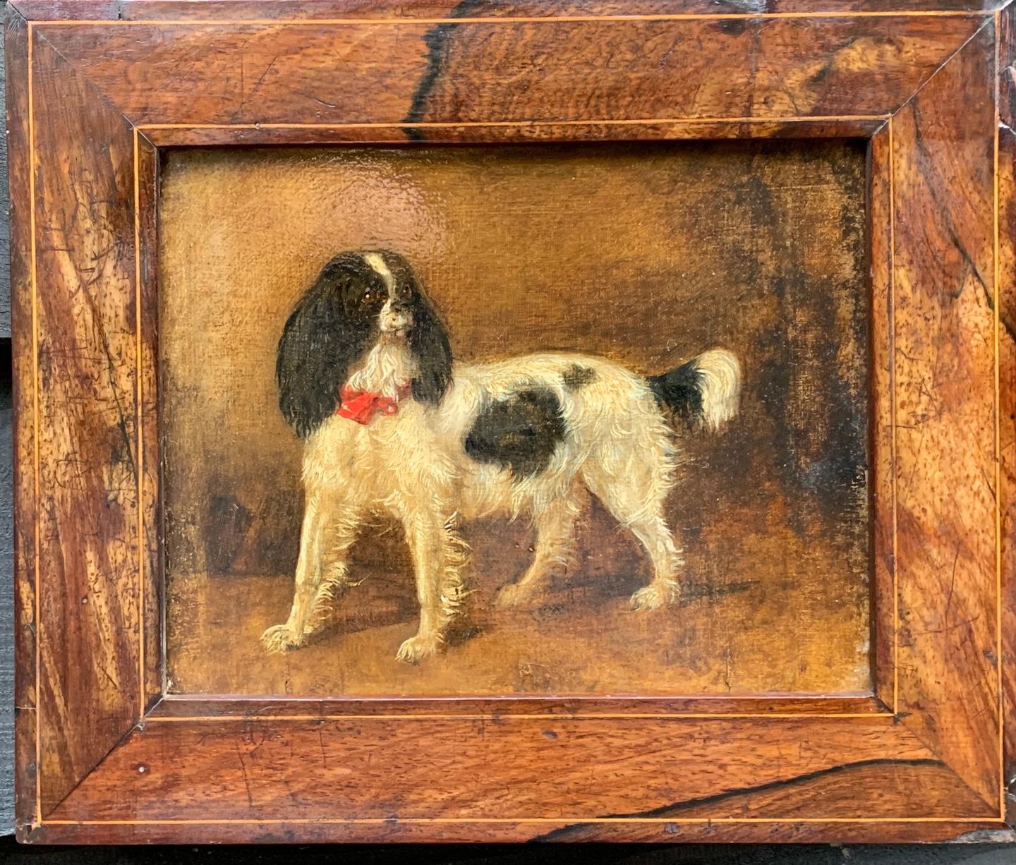 19th Century English School Animal Painting - Early 19th century Antique Portrait of a King Charles Cavalier Spaniel dog 