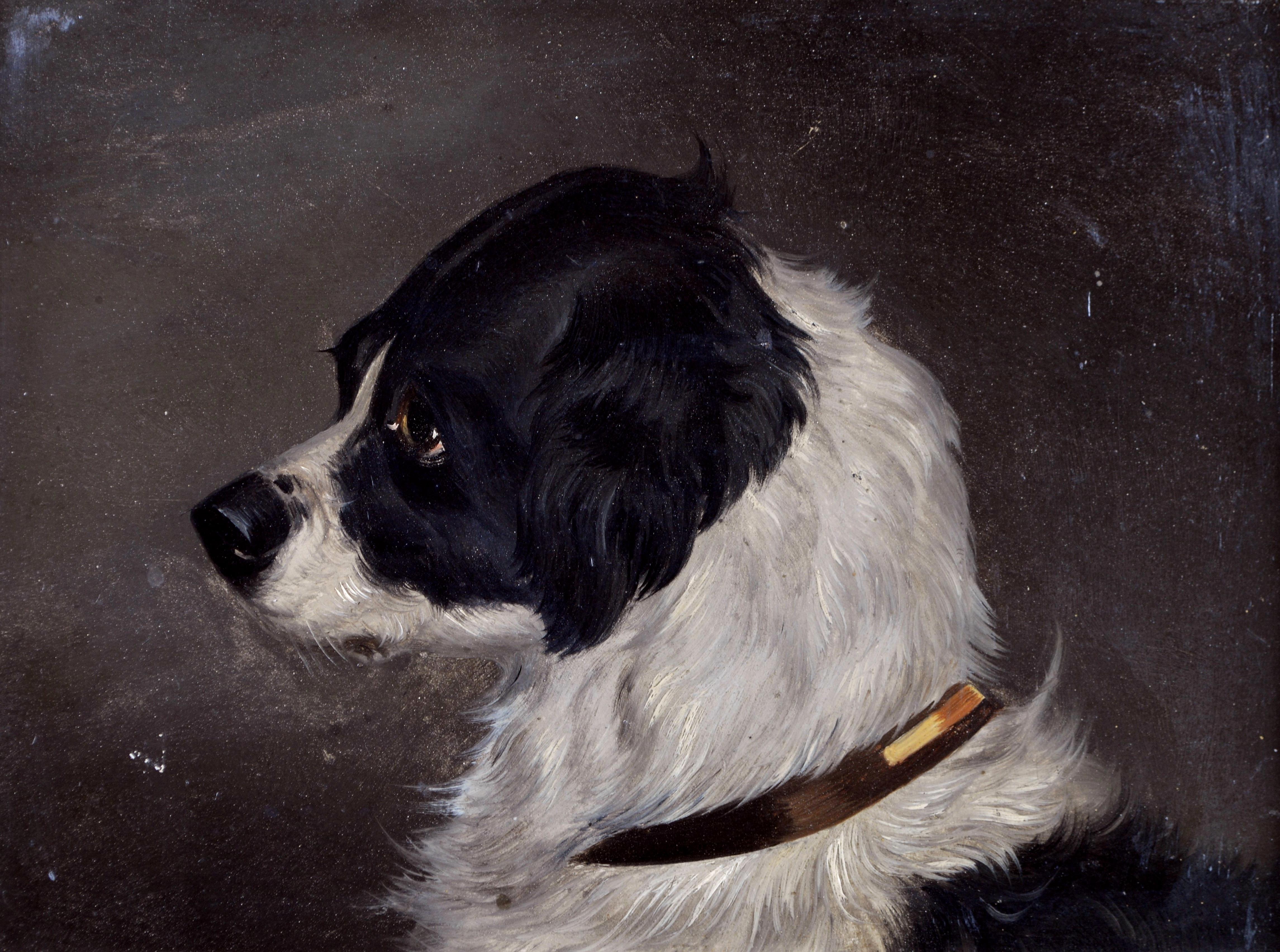 Retrato de Terrier - Pintura antigua inglesa al óleo sobre tabla del siglo XIX sobre perros - Painting de 19th Century English School