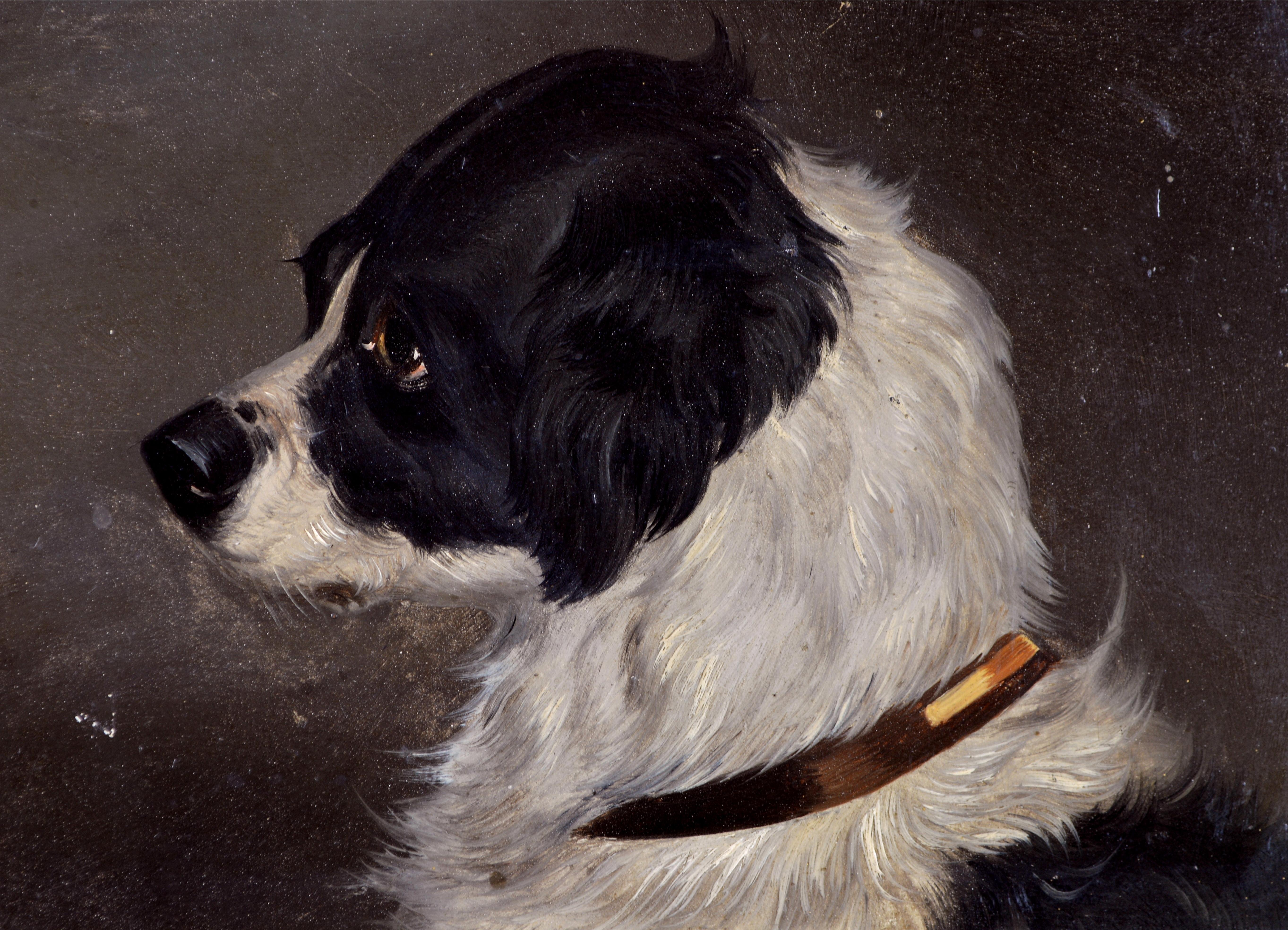 Retrato de Terrier - Pintura antigua inglesa al óleo sobre tabla del siglo XIX sobre perros - Animal Painting Naranja de 19th Century English School