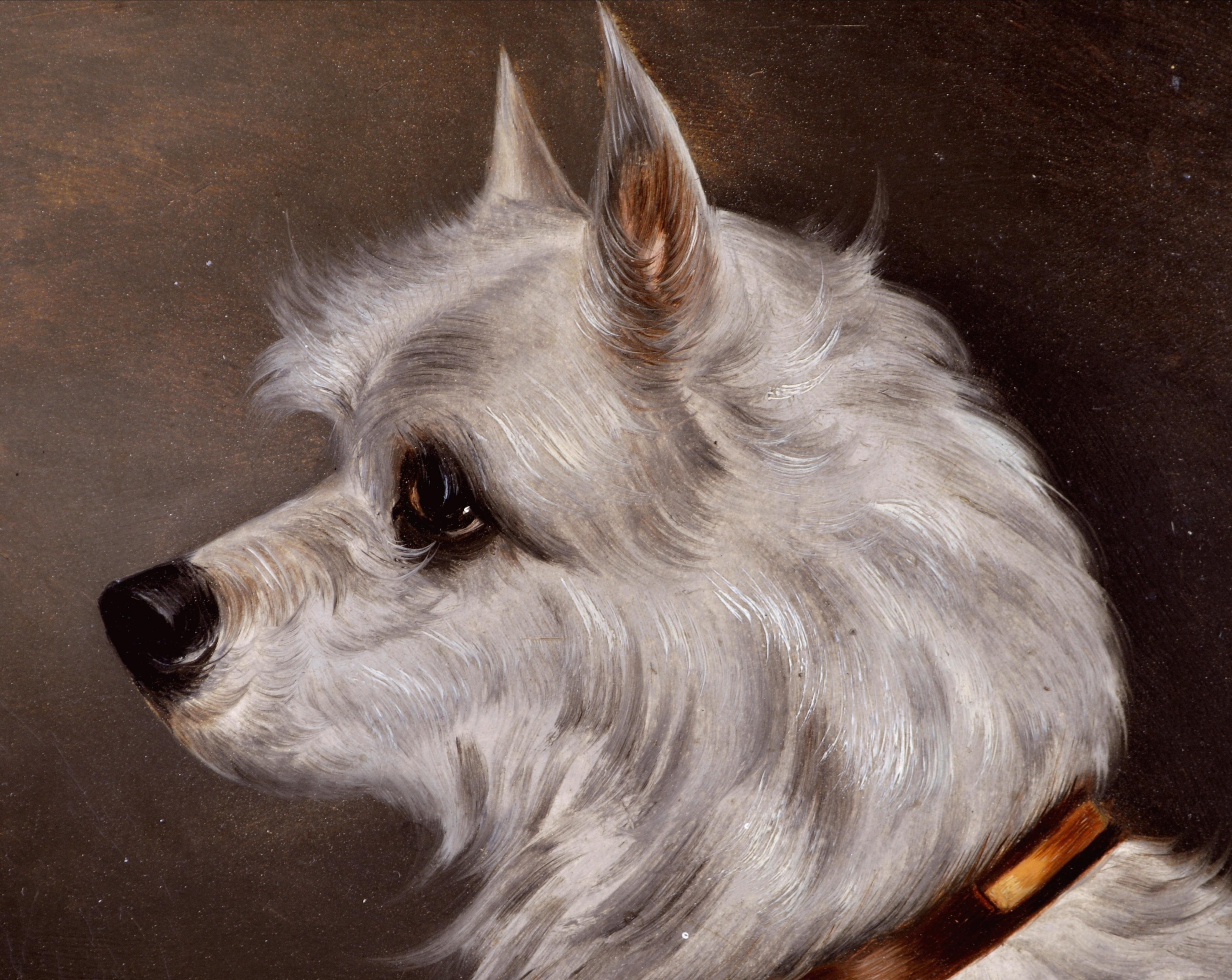 Precioso retrato al óleo sobre lienzo inglés de finales del siglo XIX de un terrier de pelo blanco con collar de cuero.

Excelente calidad y estudio de la cabeza finamente detallado del terrier bien peinado. Presentado en un marco de arce con engobe