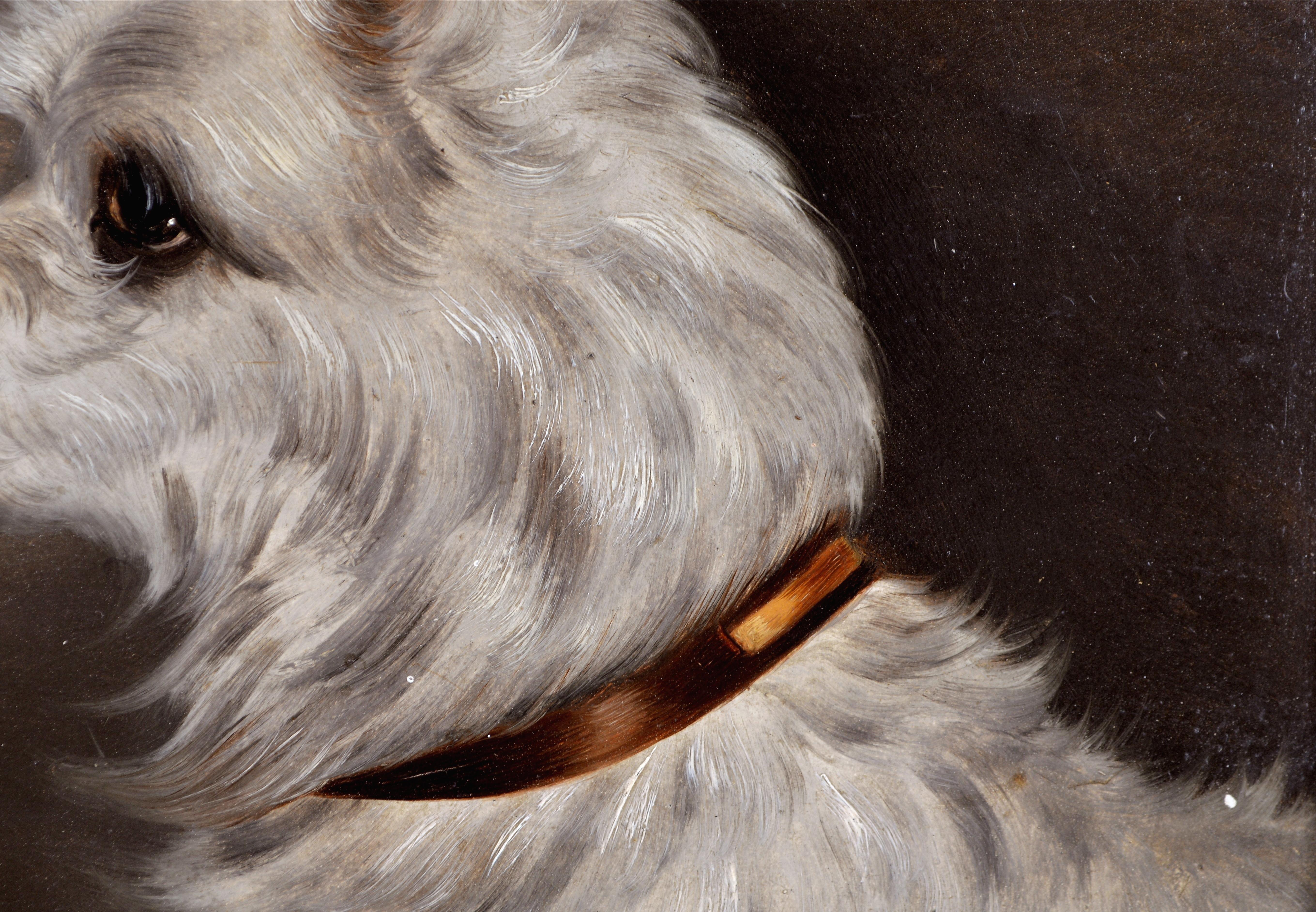Retrato de Terrier - Pintura antigua inglesa al óleo sobre tabla del siglo XIX sobre perros en venta 3
