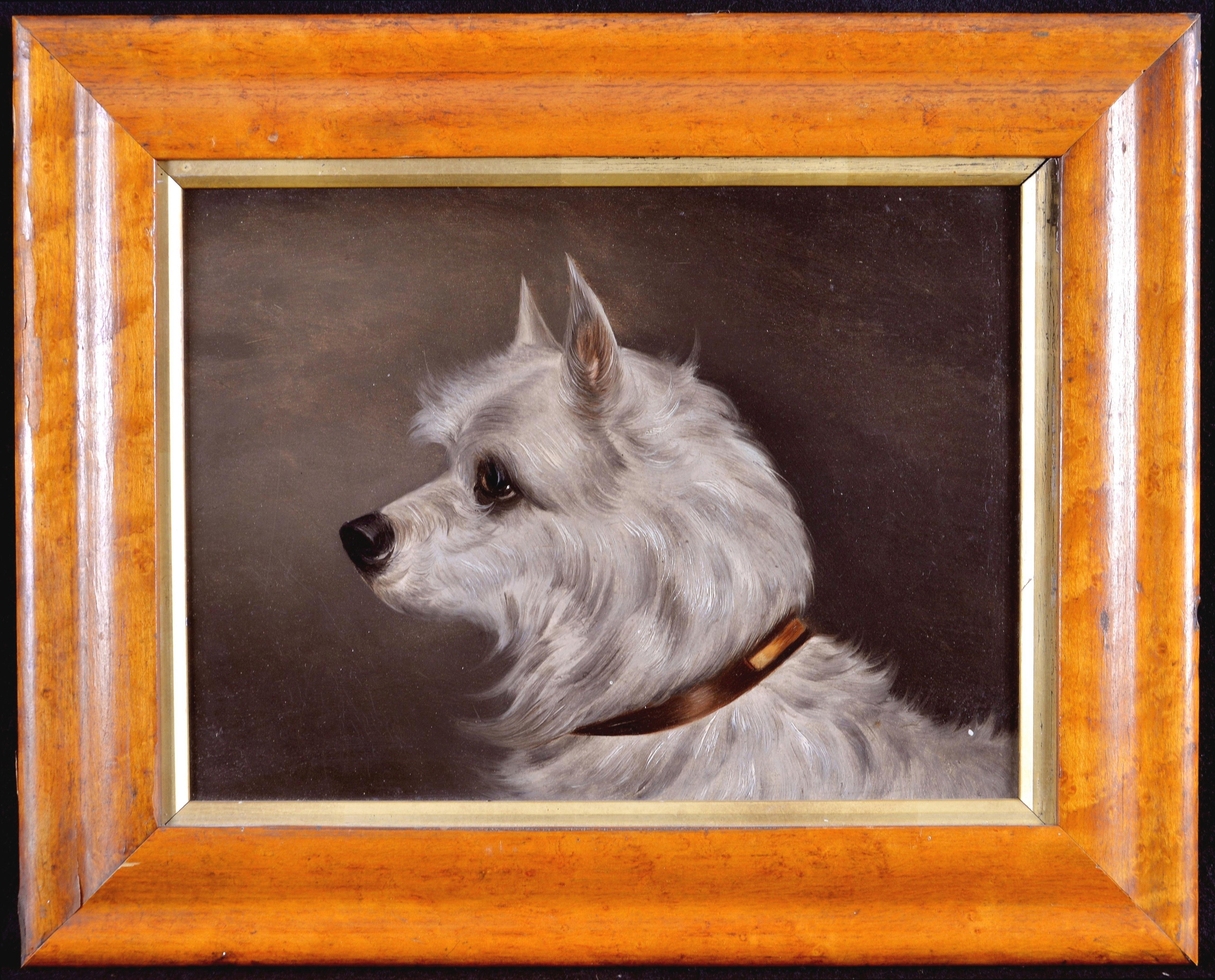 Animal Painting de 19th Century English School - Retrato de Terrier - Pintura antigua inglesa al óleo sobre tabla del siglo XIX sobre perros