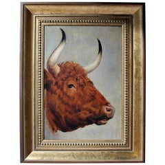 19th Century English School Study of a Red Poll Bull