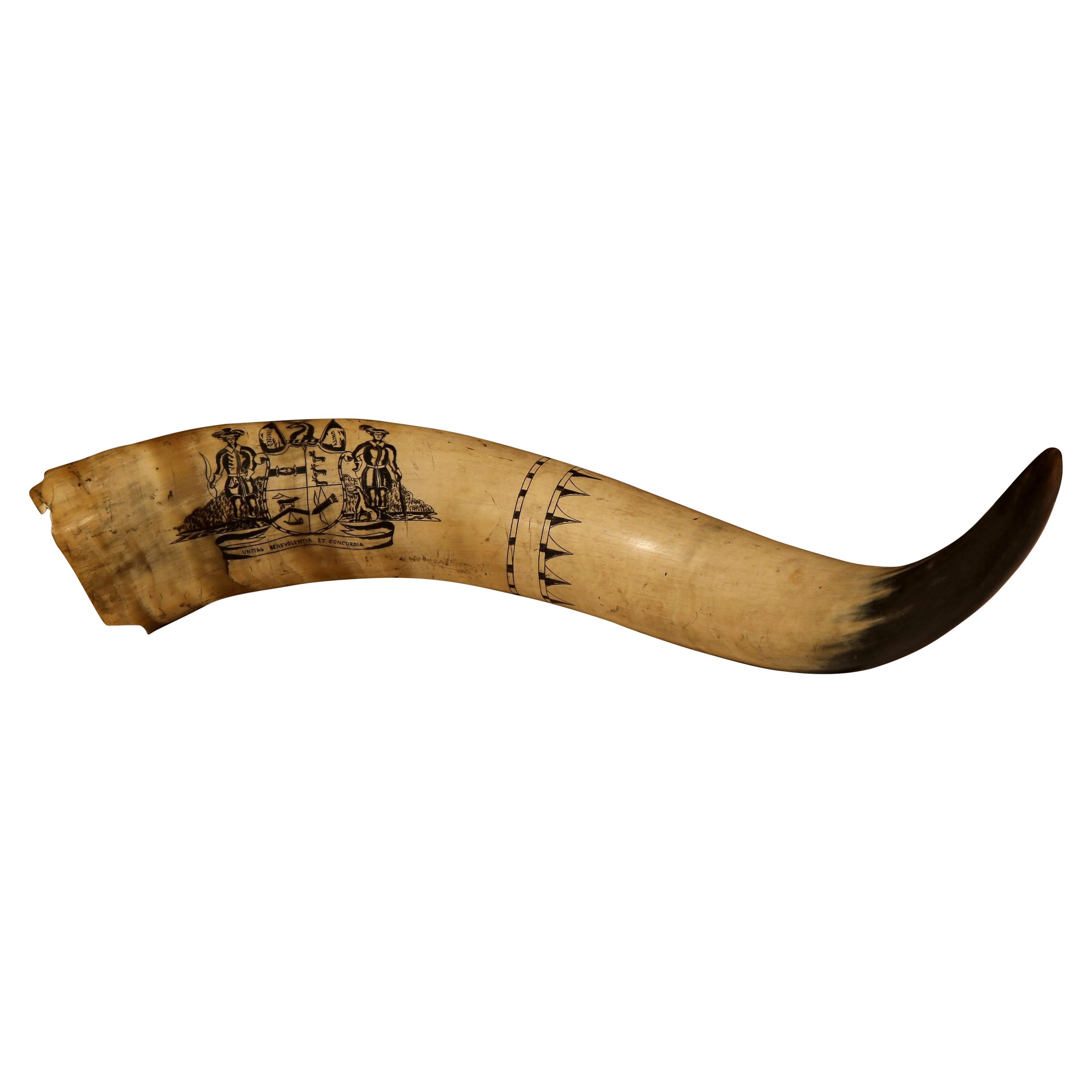 19th Century English Scrimshaw Steer Horn with Black Armorial Crest Engraving For Sale