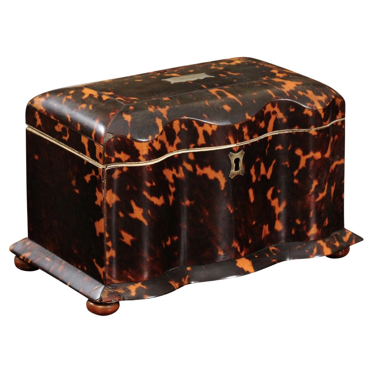 19th Century English Serpentine Front Tortoiseshell Tea Caddy