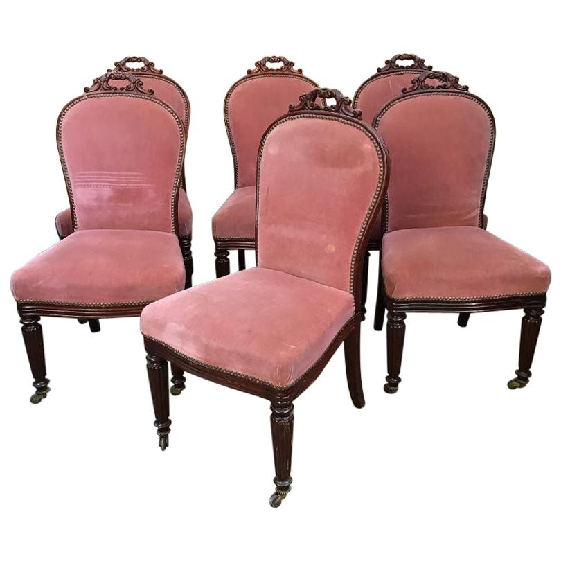 19th Century English Set of 6 Mahogany Chairs with Original Upholstery, 1890s For Sale