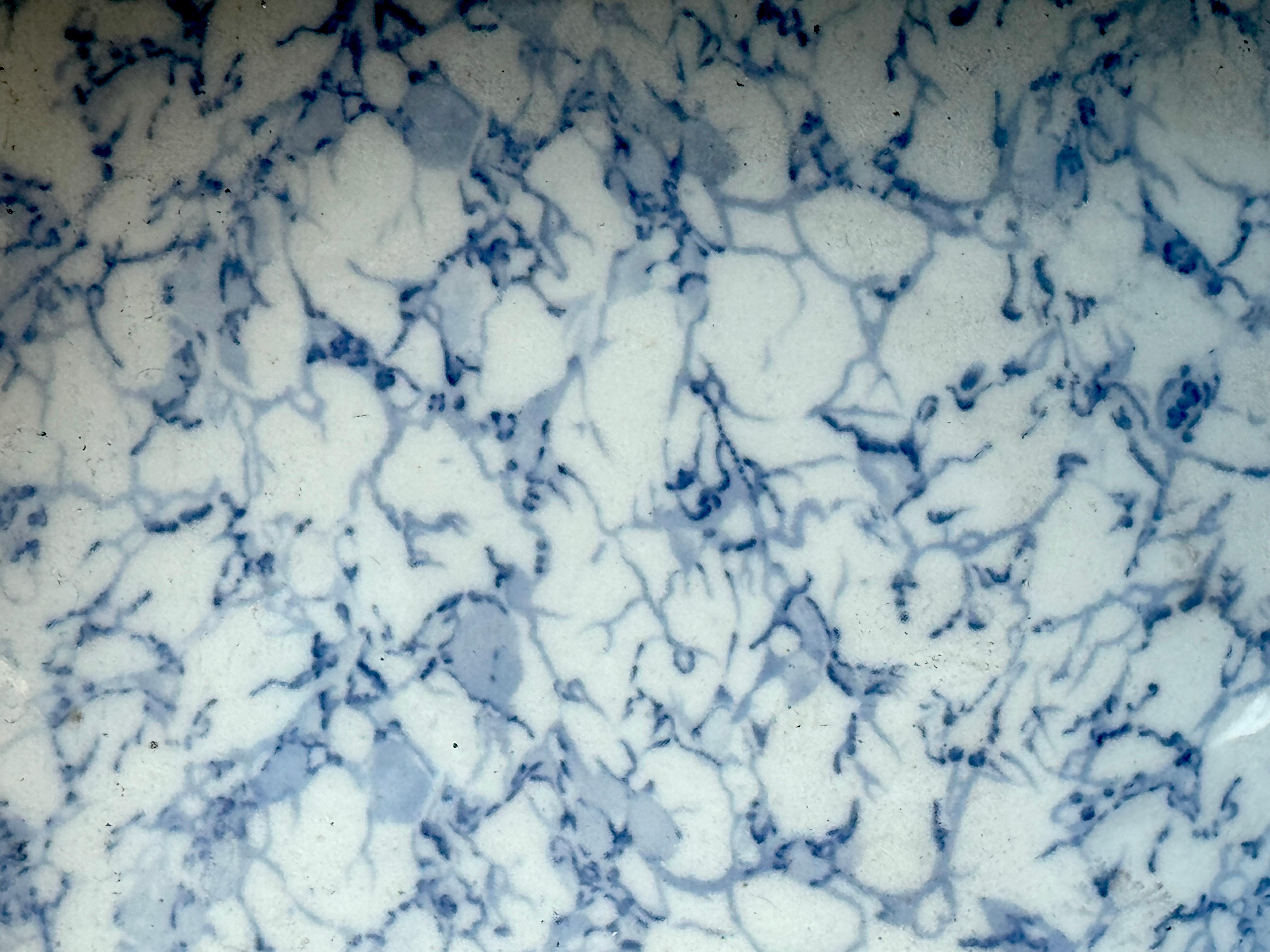 19th Century English Staffordshire Blue & White Marbleized Neoclassical Footbath For Sale 6