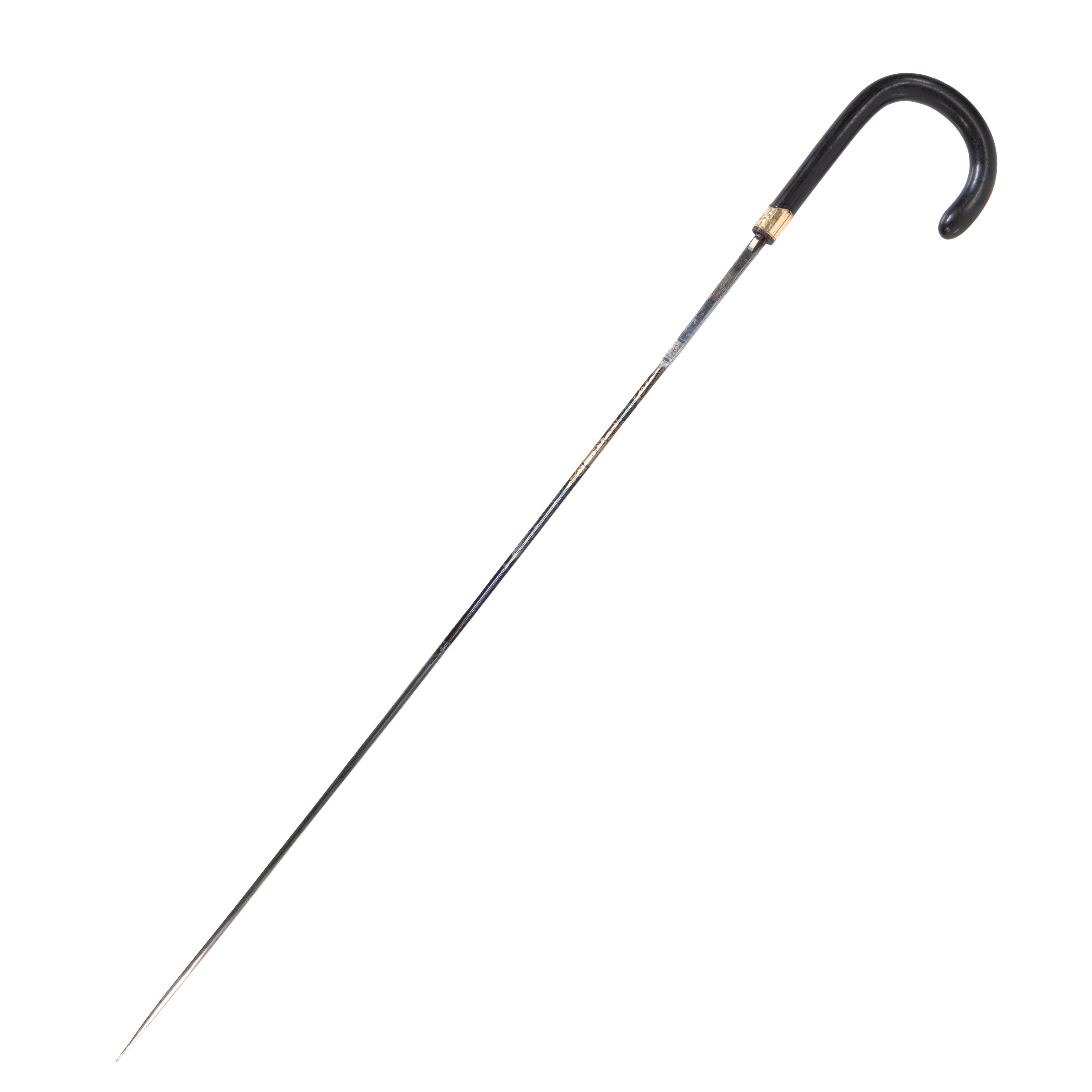 Wood 19th Century English Sword Cane For Sale