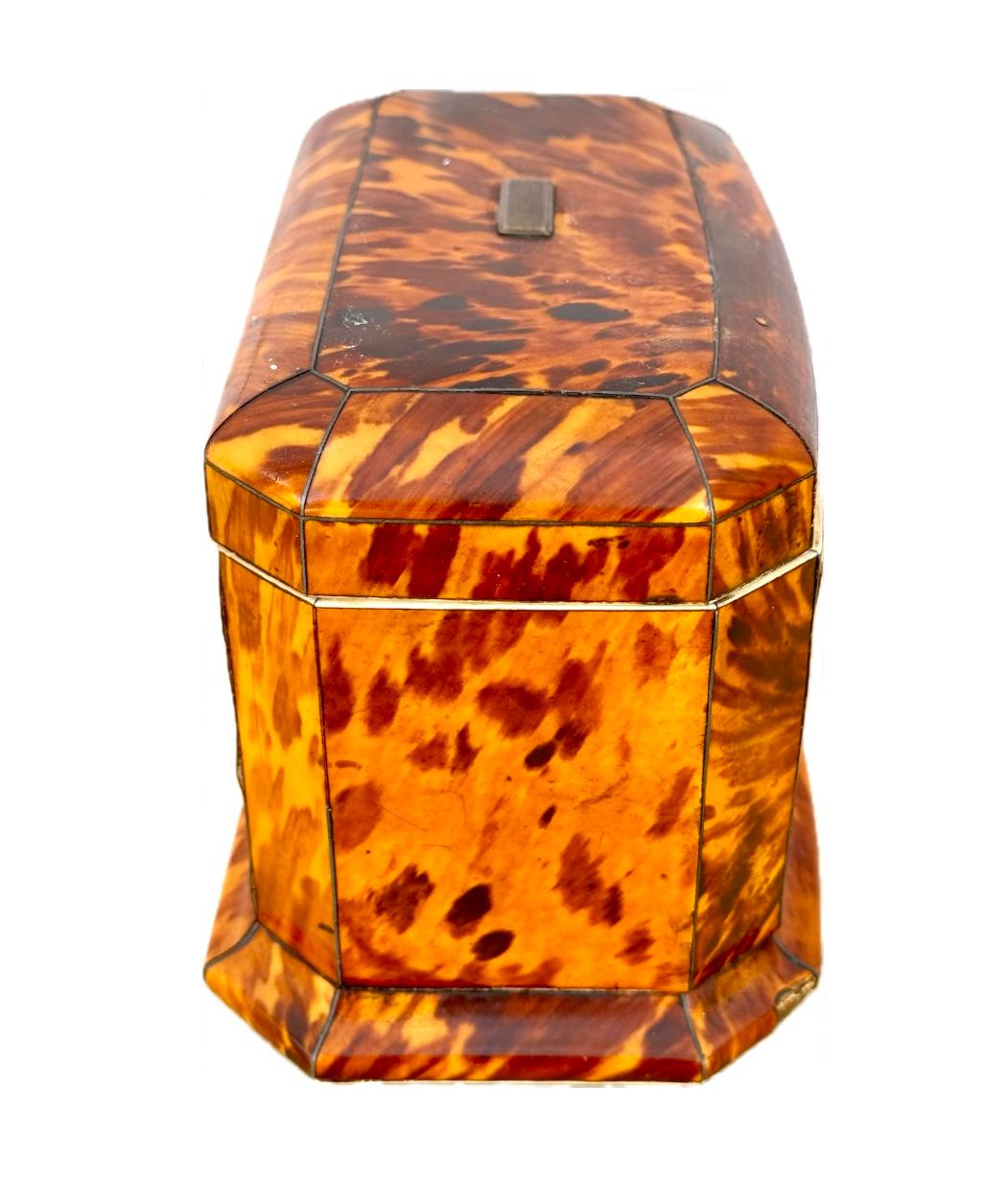 19th Century English Tortoise Shell Tea Caddy 1