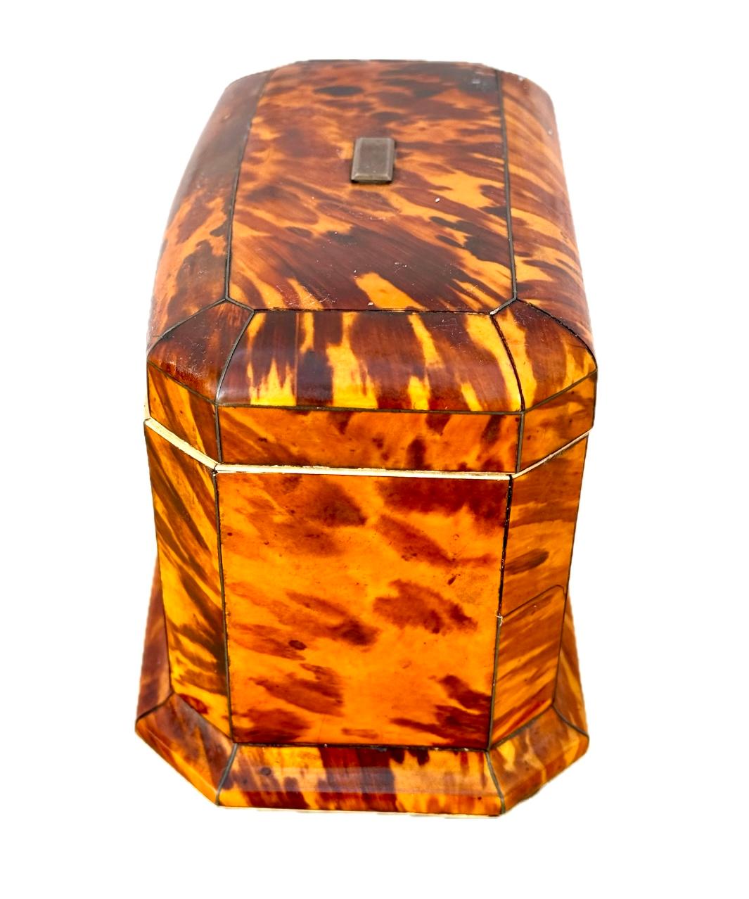 19th Century English Tortoise Shell Tea Caddy 3