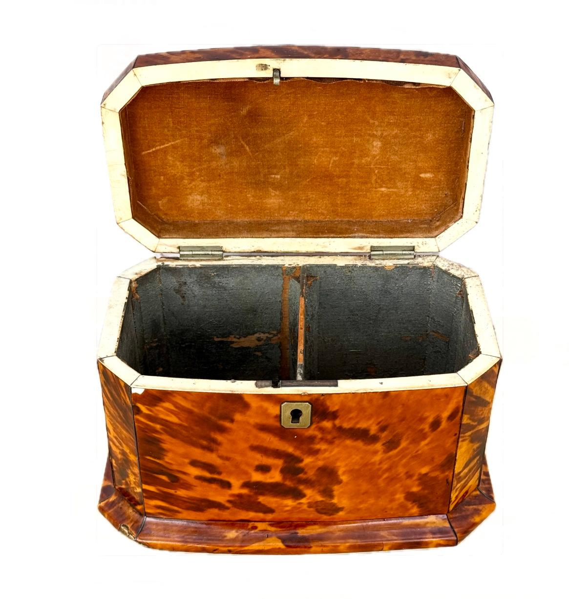 19th Century English Tortoise Shell Tea Caddy 4