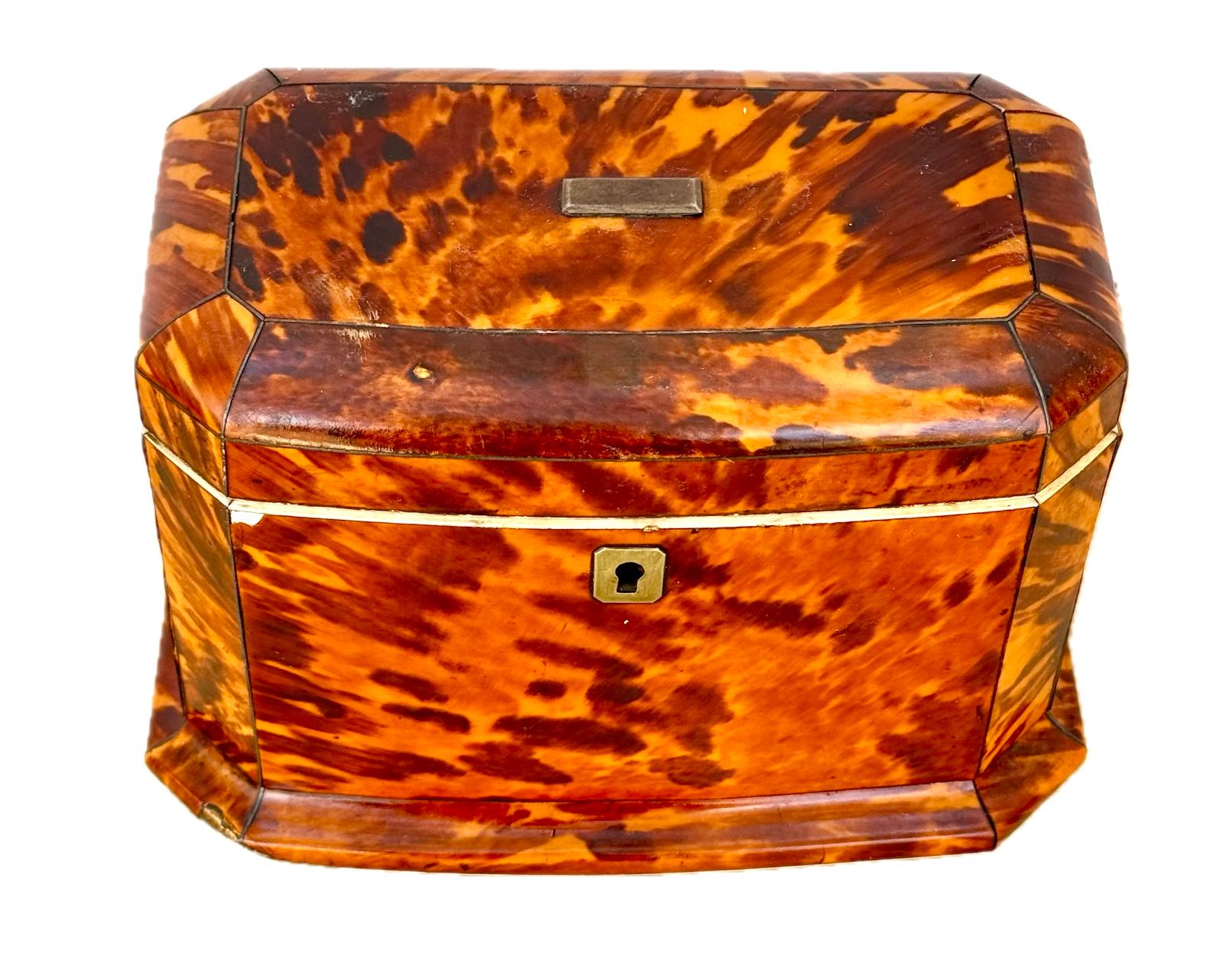 19th Century English Tortoise Shell Tea Caddy 5