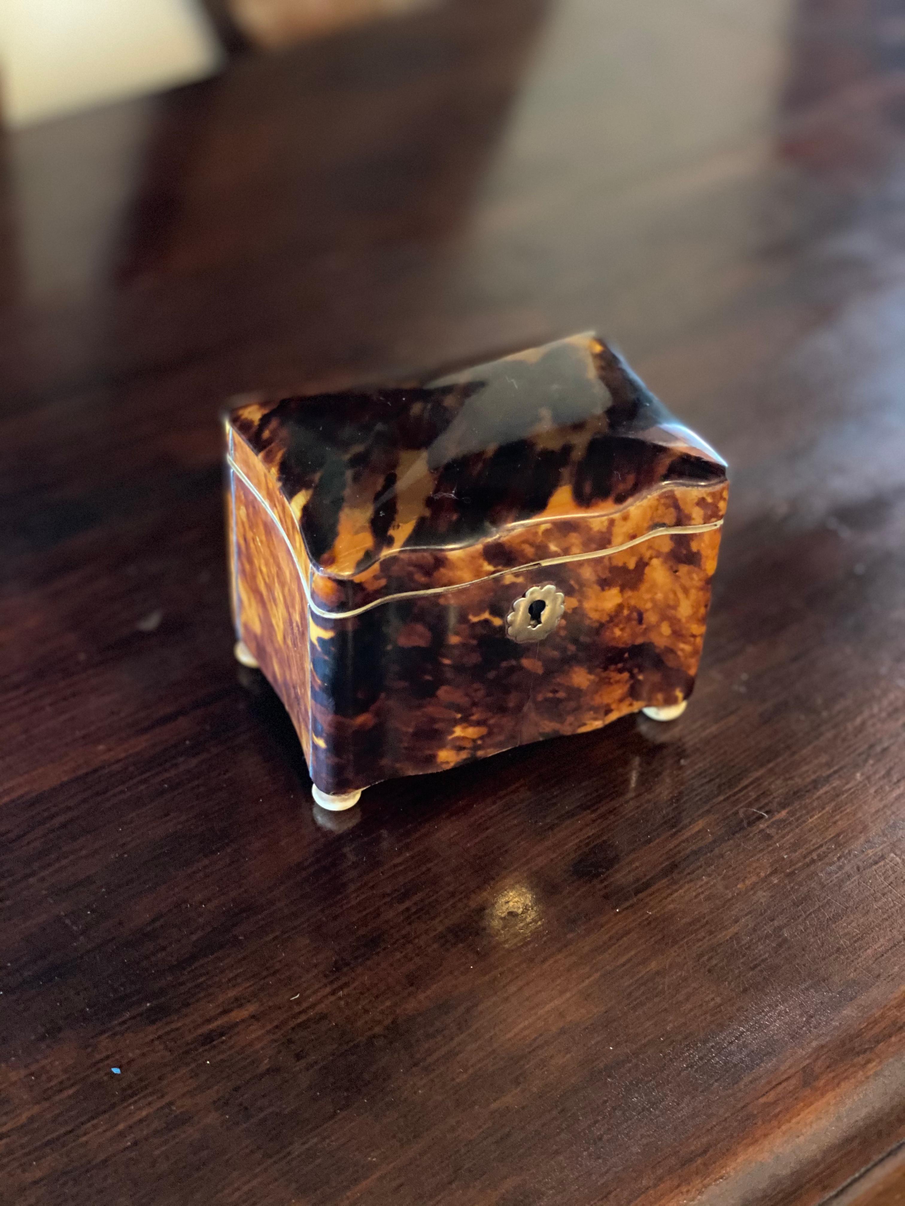 19th Century English Tortoise Shell Tea Caddy with Bone Feet and Interior In Good Condition In Charleston, SC