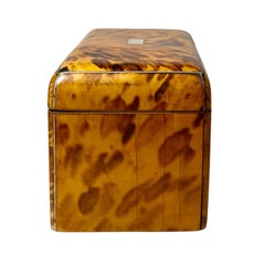 Caja de té inglesa de carey del siglo XIX