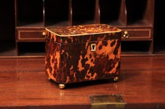 19th Century English Tortoiseshell Tea Caddy