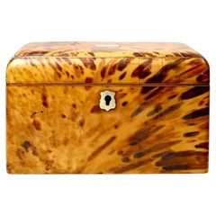 19th Century English Tortoiseshell Tea Caddy