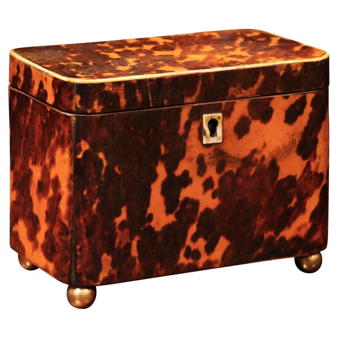19th Century English Tortoiseshell Tea Caddy