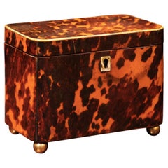 19th Century English Tortoiseshell Tea Caddy