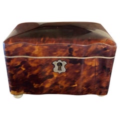 19th Century English Tortoiseshell Tea Caddy with Bone Feet and Interior