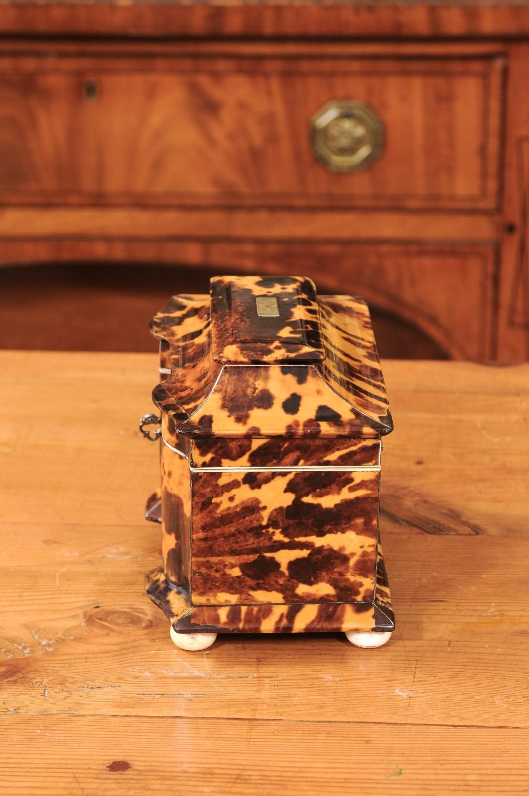 Boîte à thé en écaille de tortue anglaise du 19e siècle avec détails en argent et en os en vente 6