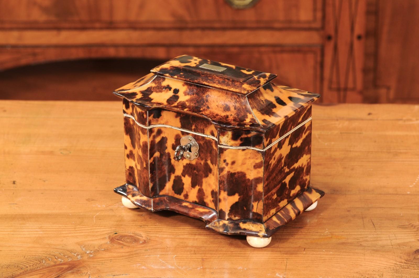 Boîte à thé en écaille de tortue anglaise du 19e siècle avec détails en argent et en os en vente 7
