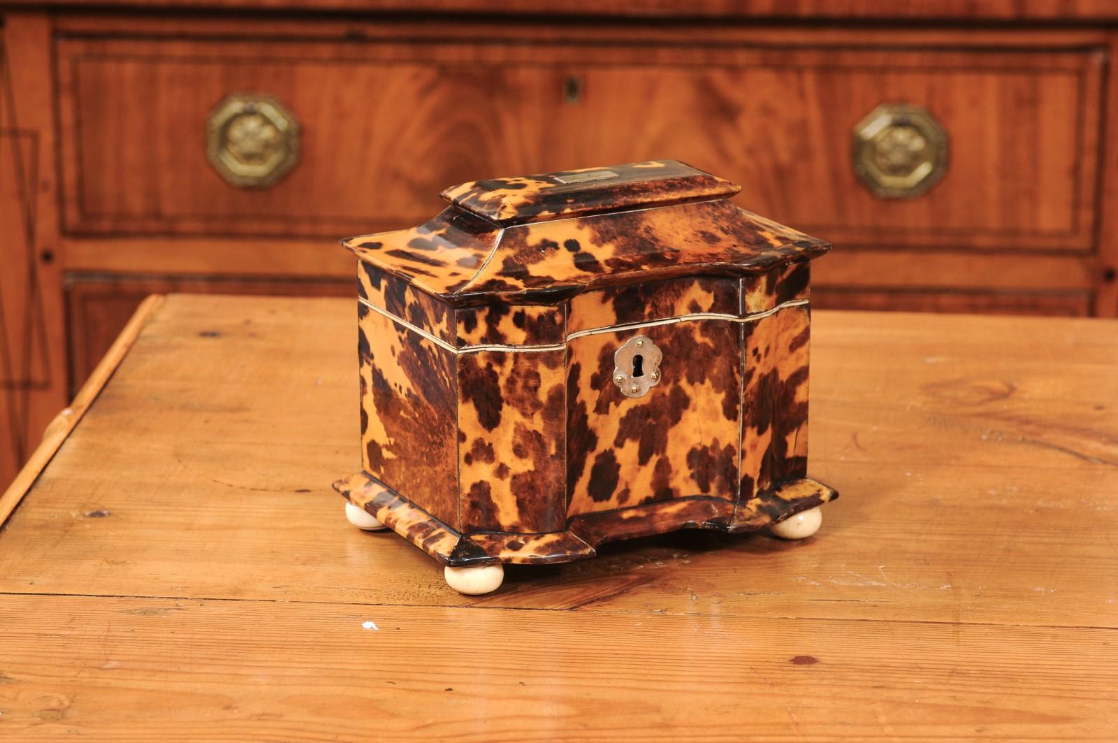 Anglais Boîte à thé en écaille de tortue anglaise du 19e siècle avec détails en argent et en os en vente