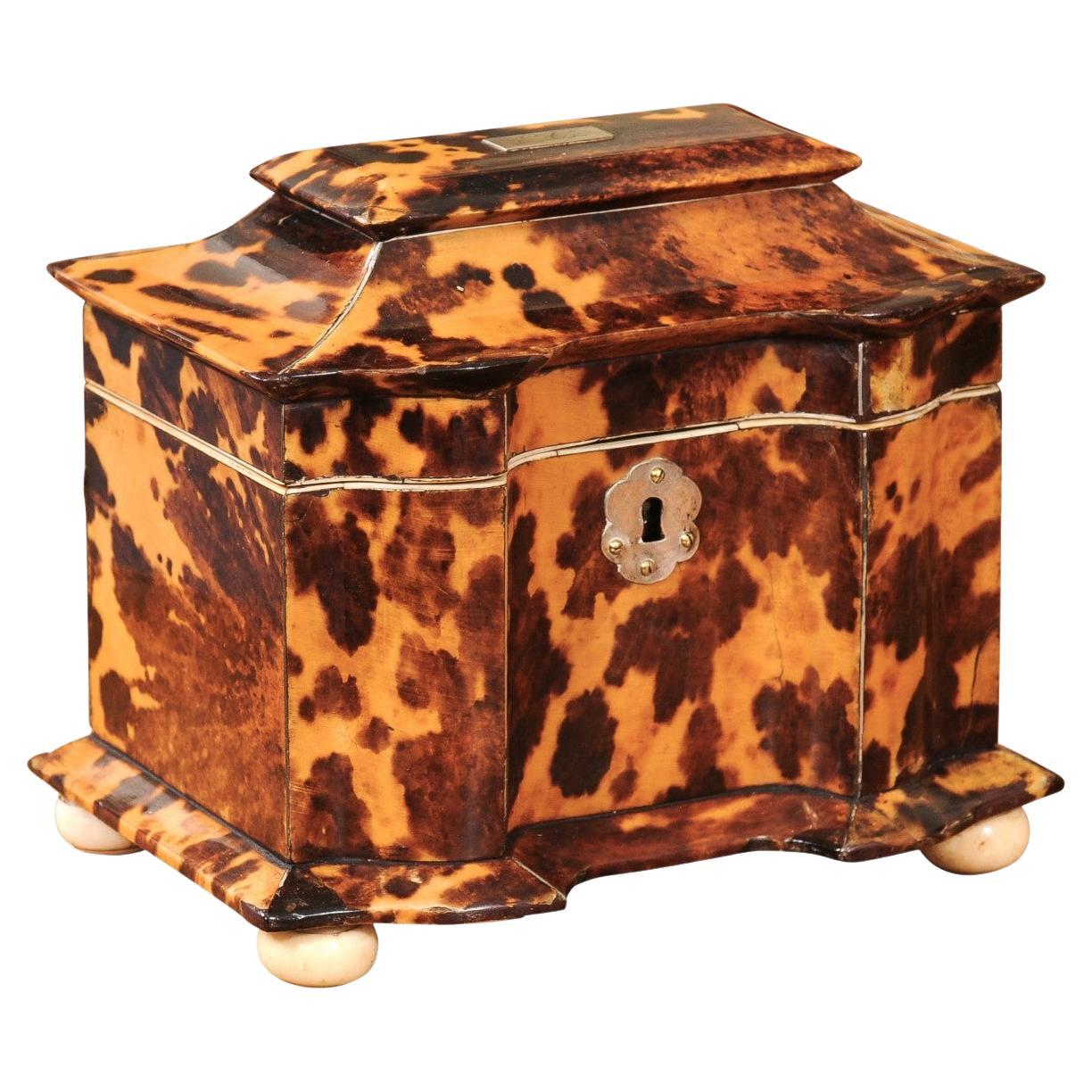 19th Century English Tortoiseshell Tea Caddy with Silver & Bone Details