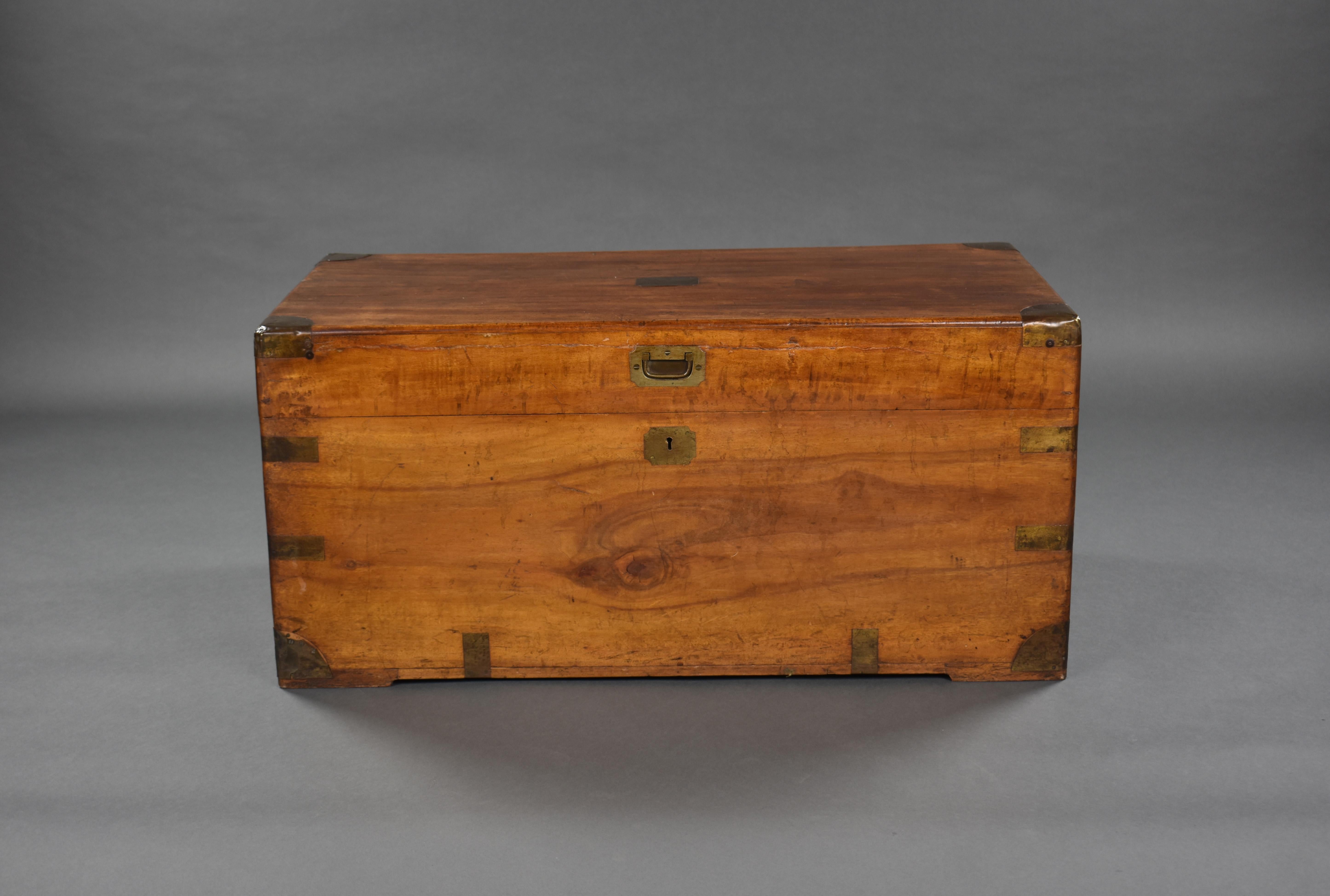19th Century English Victorian Camphor Wood Trunk In Good Condition In Chelmsford, Essex