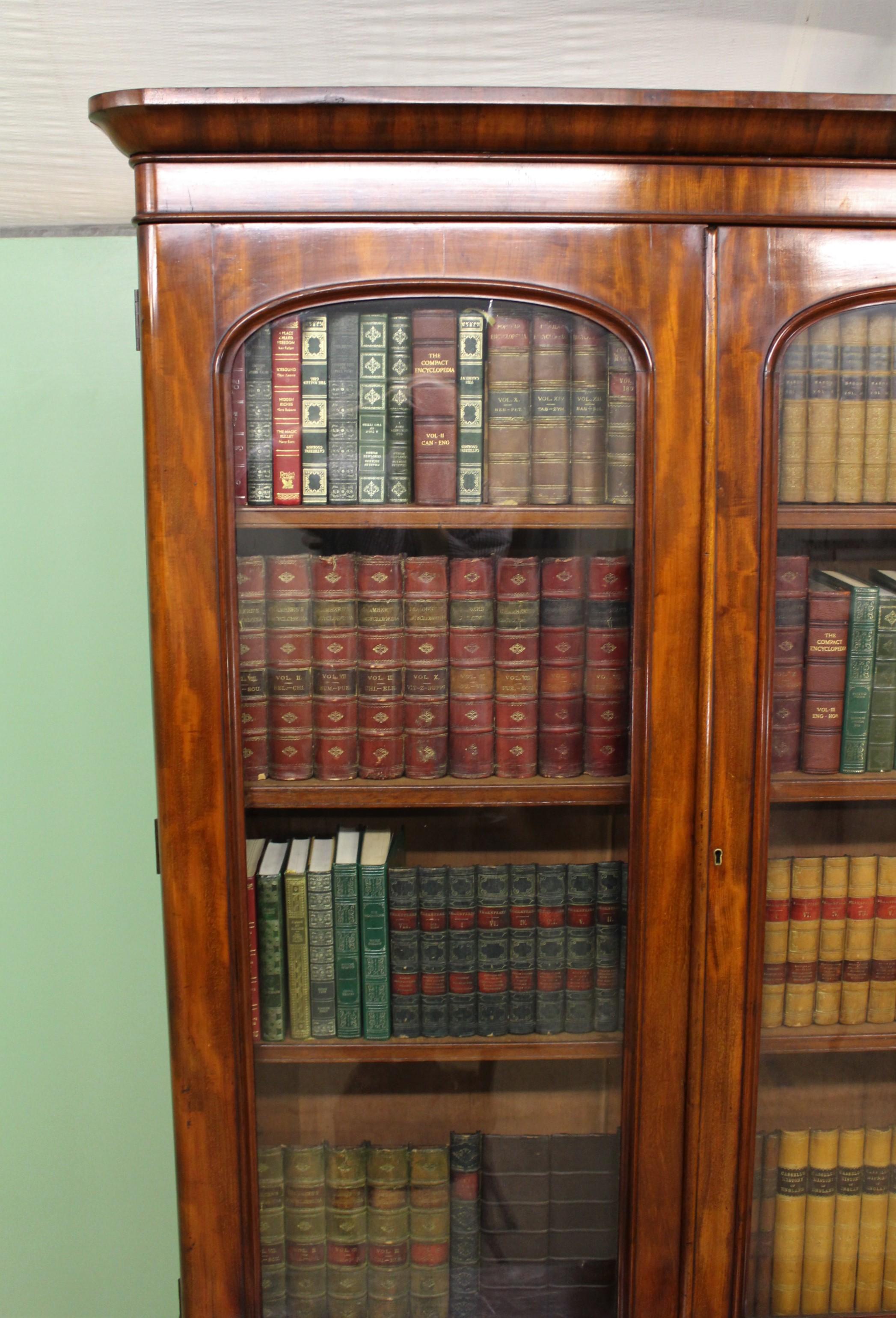 19th Century English Victorian Figured Mahogany Library Bookcase 12