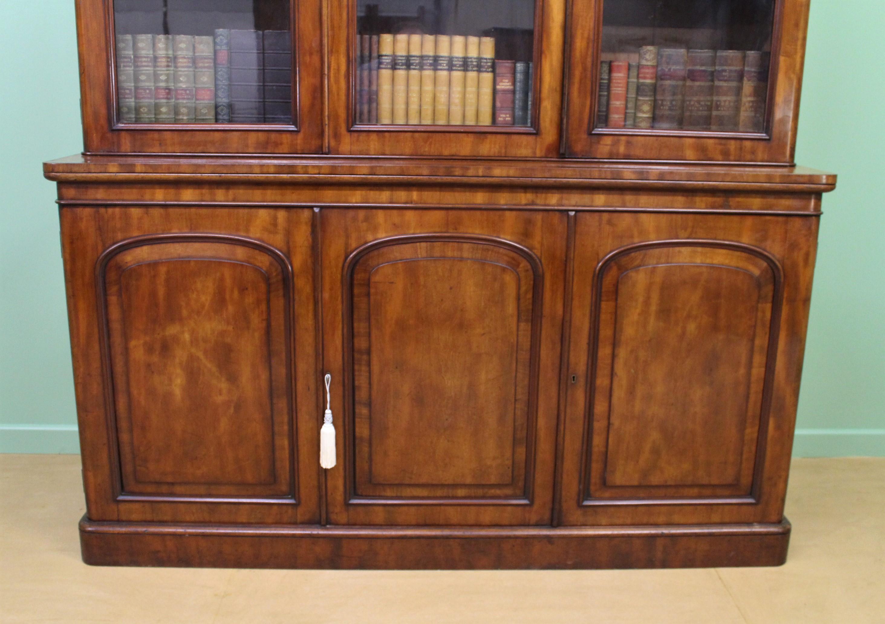 19th Century English Victorian Figured Mahogany Library Bookcase 6