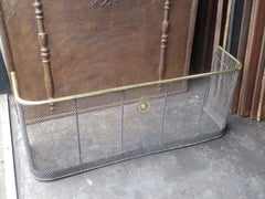 19th Century English Victorian Fire Guard